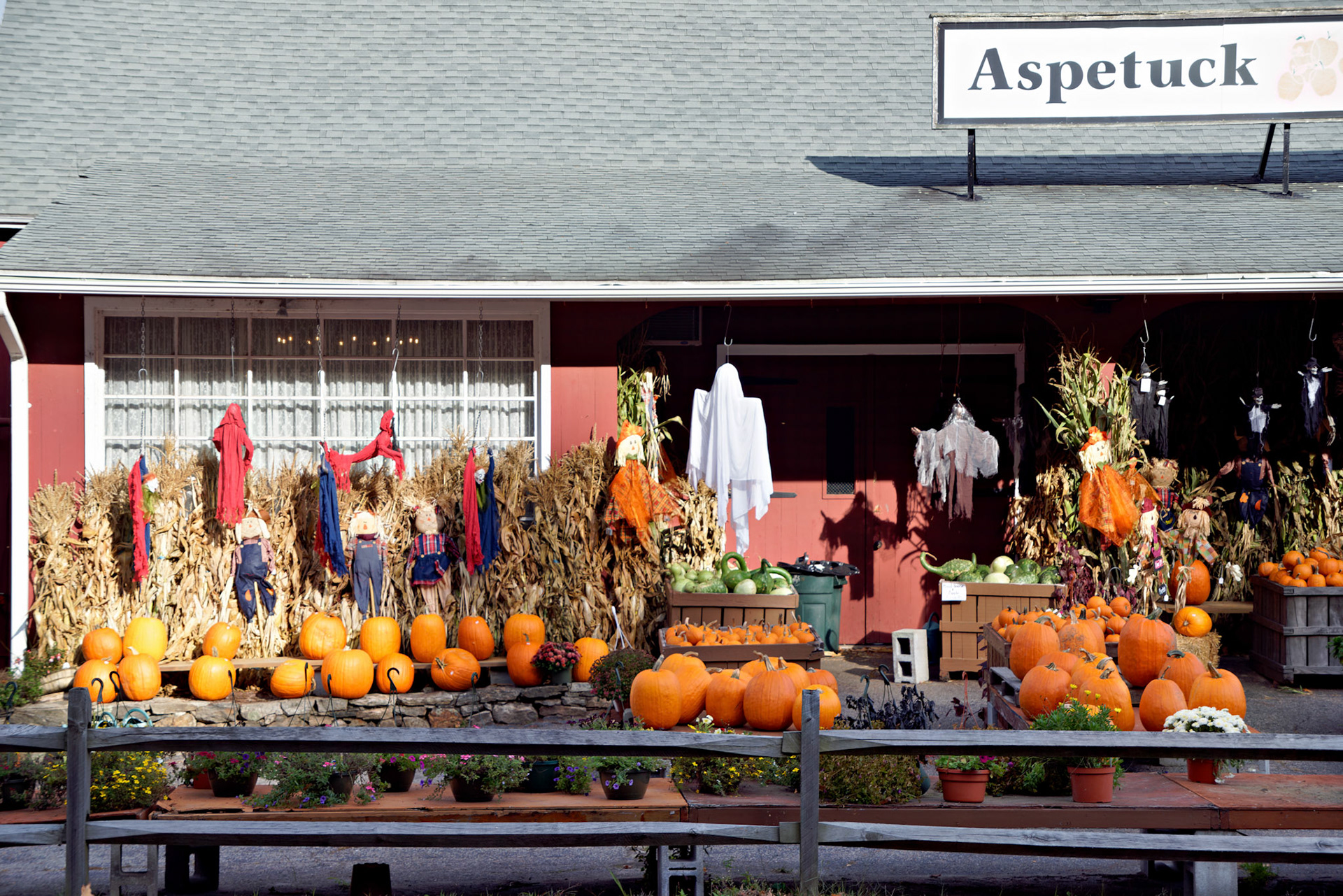 CT_20141020_0488_PS.dng