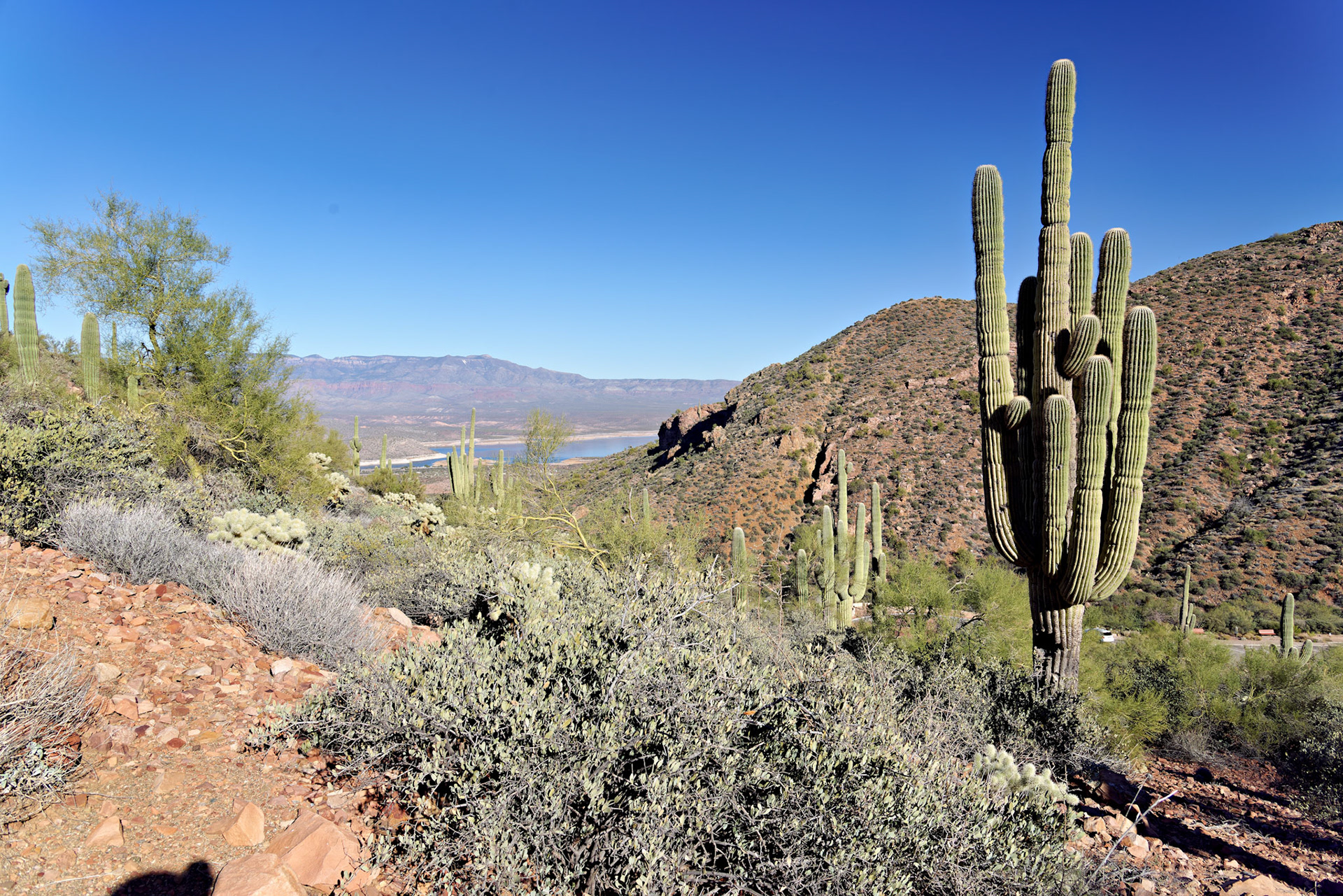 AZ_20121210_0407_PS.dng