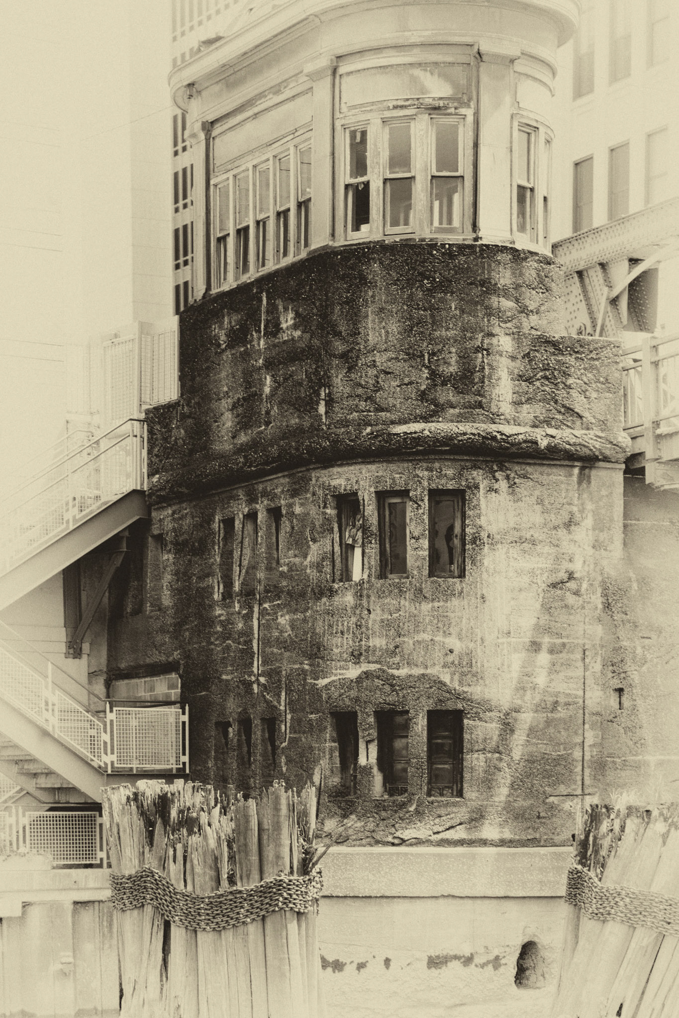 Black &amp; White 00212