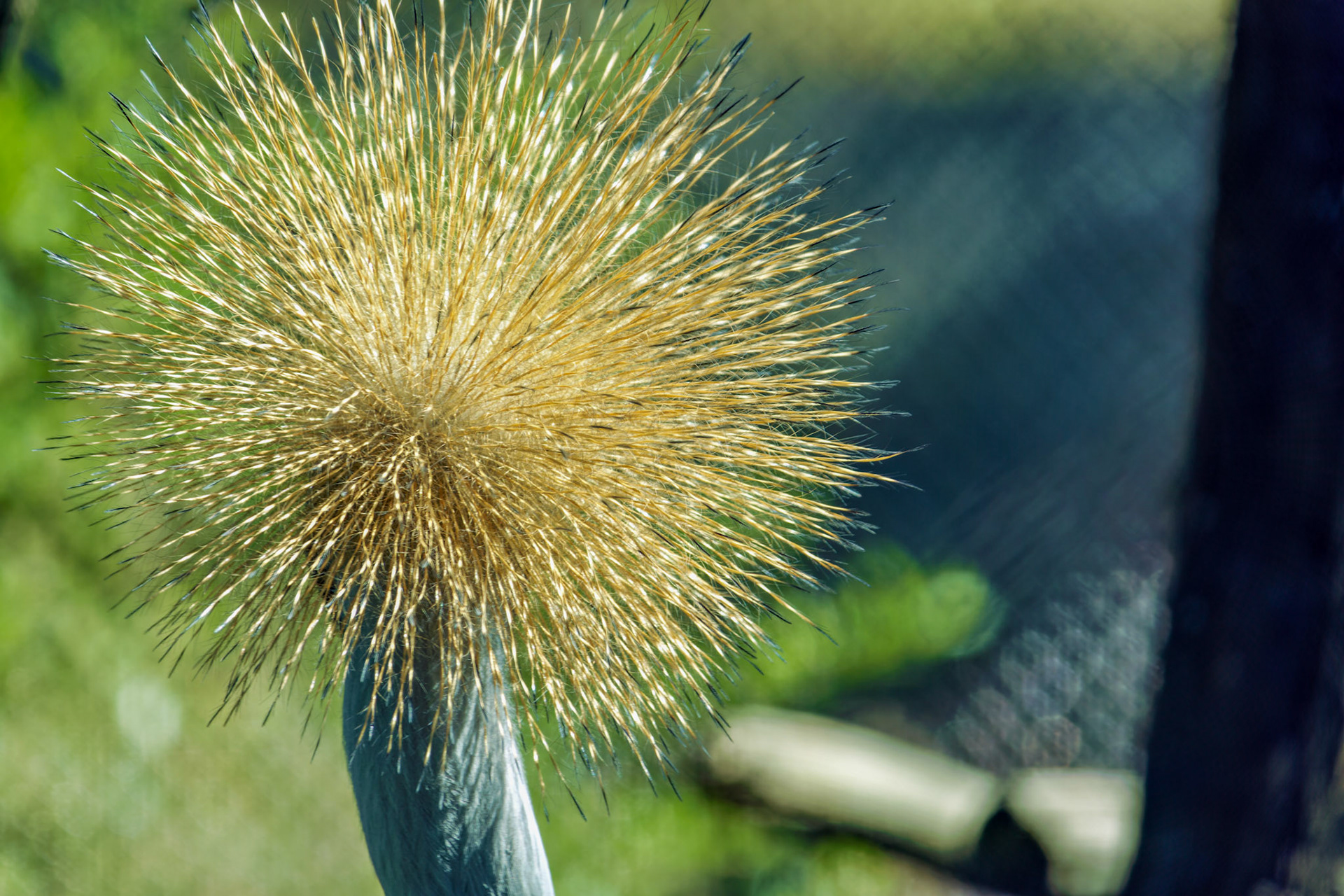 IN_Indianapolis Zoo_20170608_0260_PS.tif