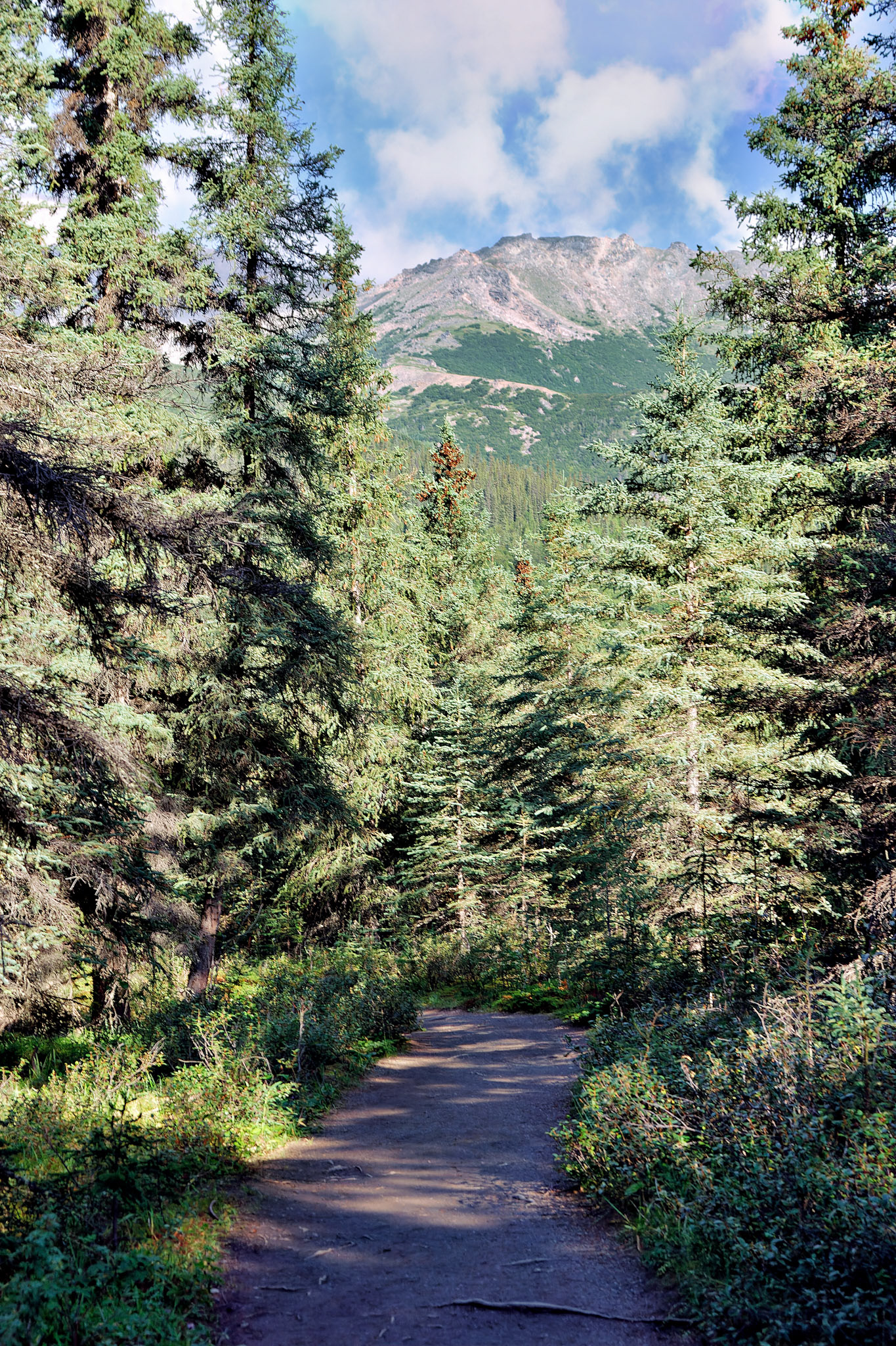 CA_20030808_0012_PS.dng