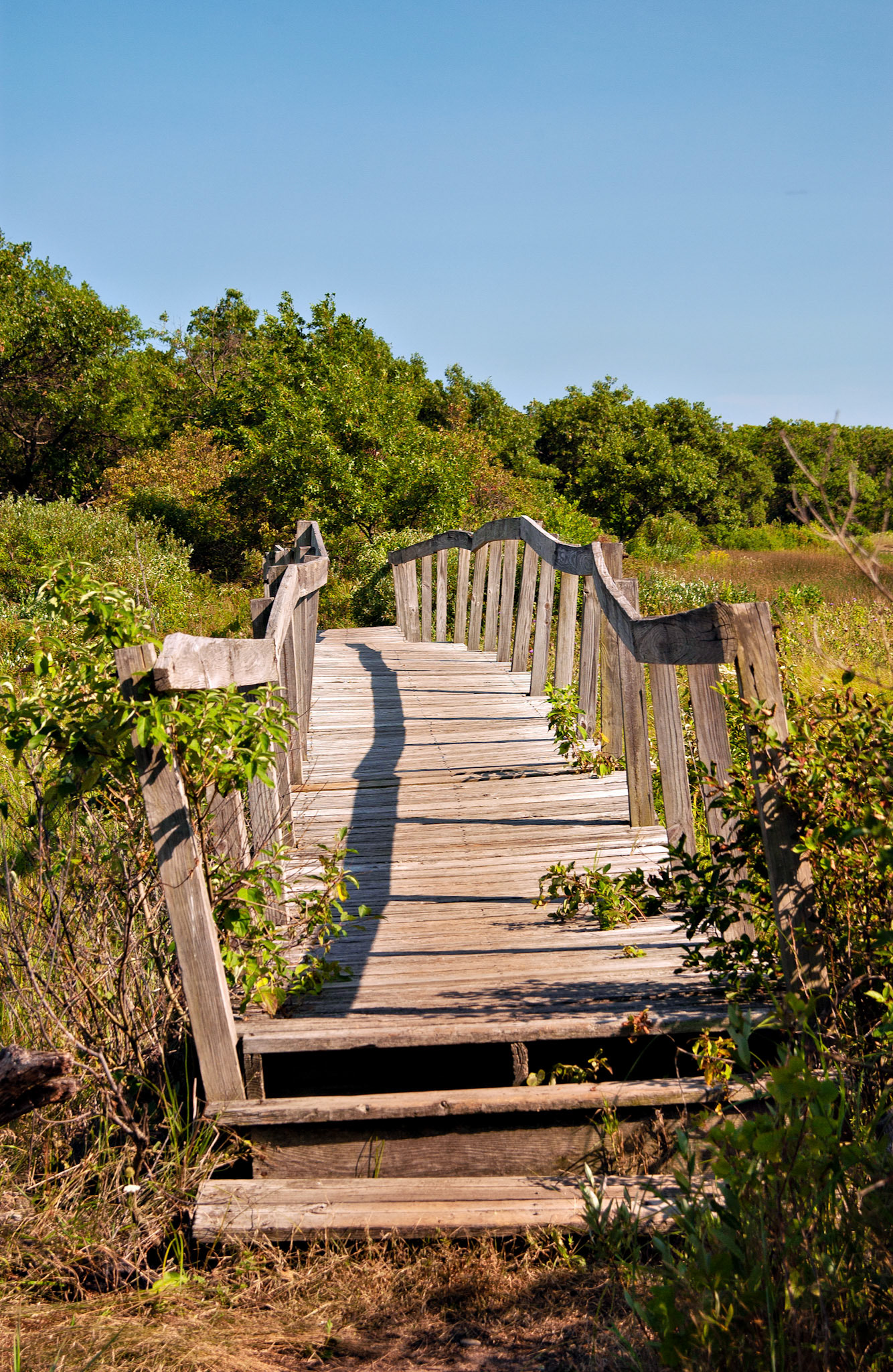 MA_CapeCod_20020818_0002_PS.dng