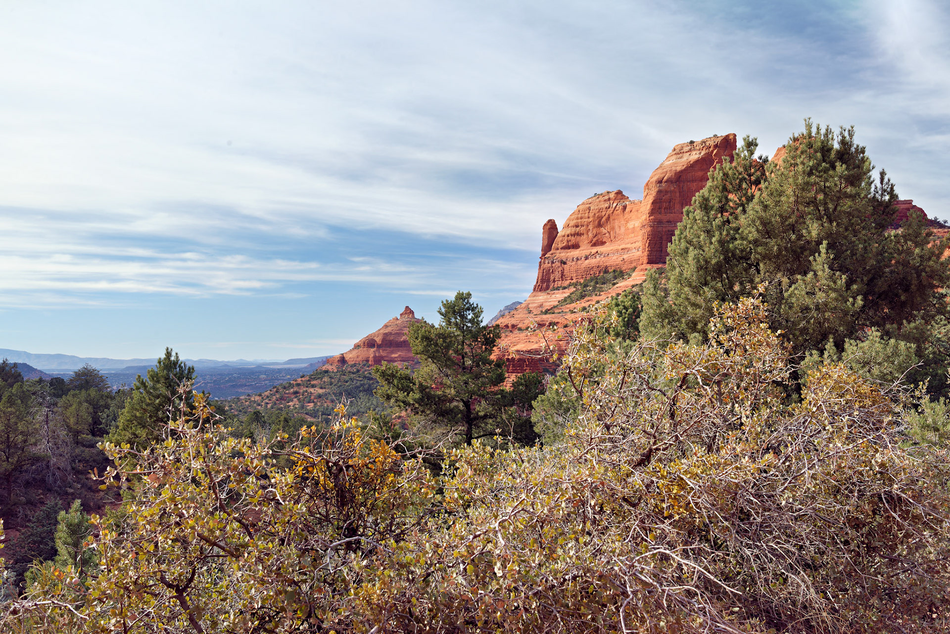 AZ_20121211_0502_PS.dng
