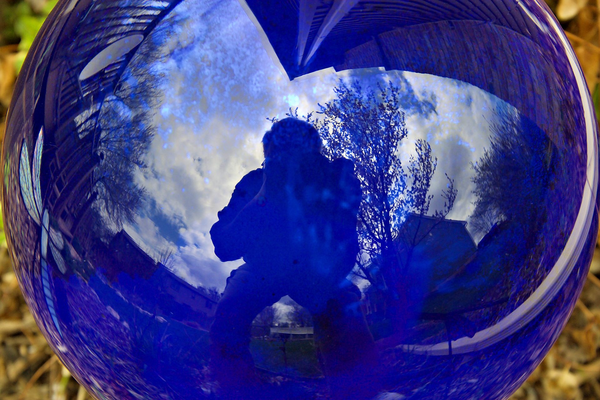 Artistic_20030420_0010_PS.dng