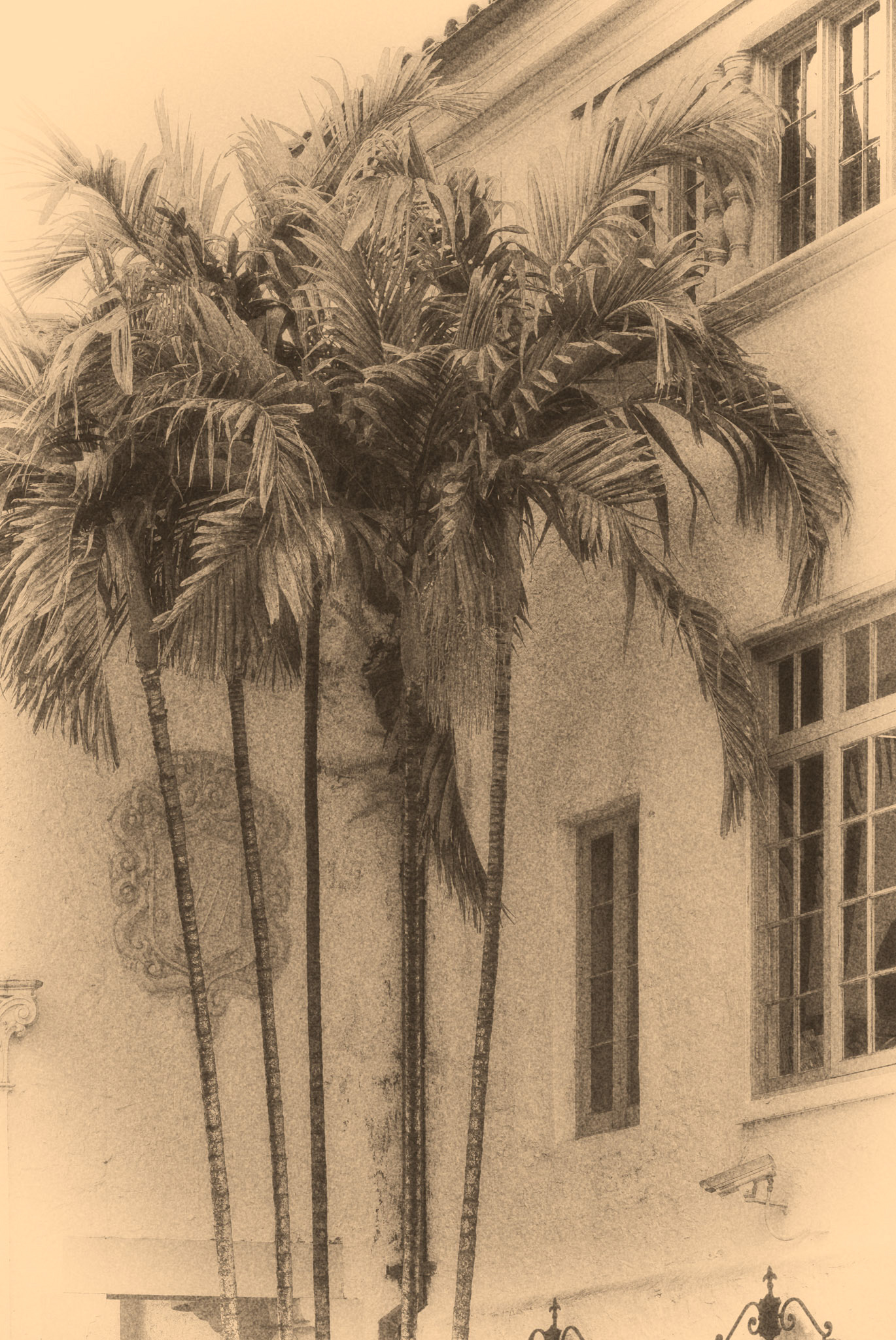 Black &amp; White Photos