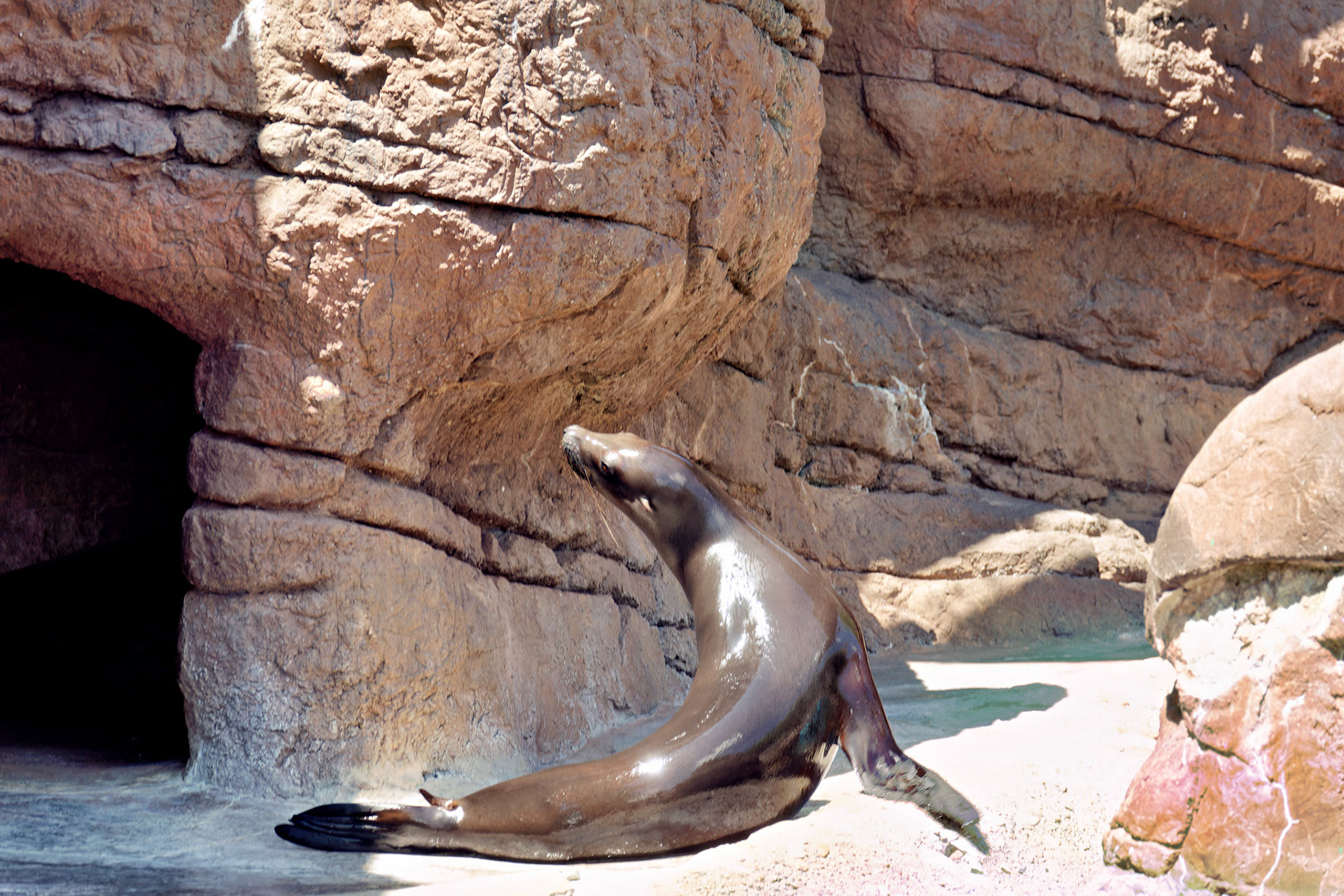 IN_Indianapolis Zoo_20170608_0197_PS.dng