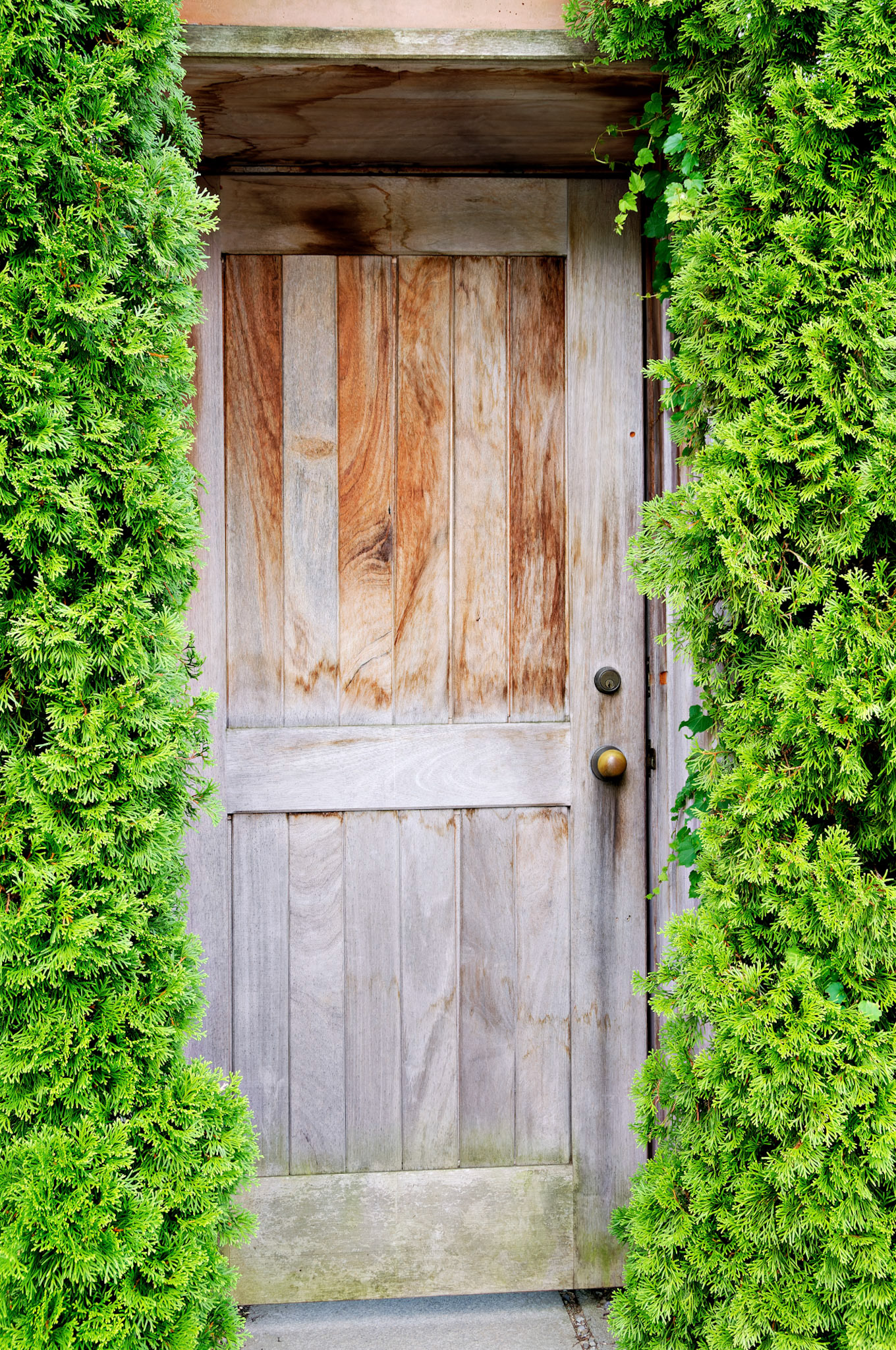 PA_GroundsForSculpture_20080814_0048_PS.dng