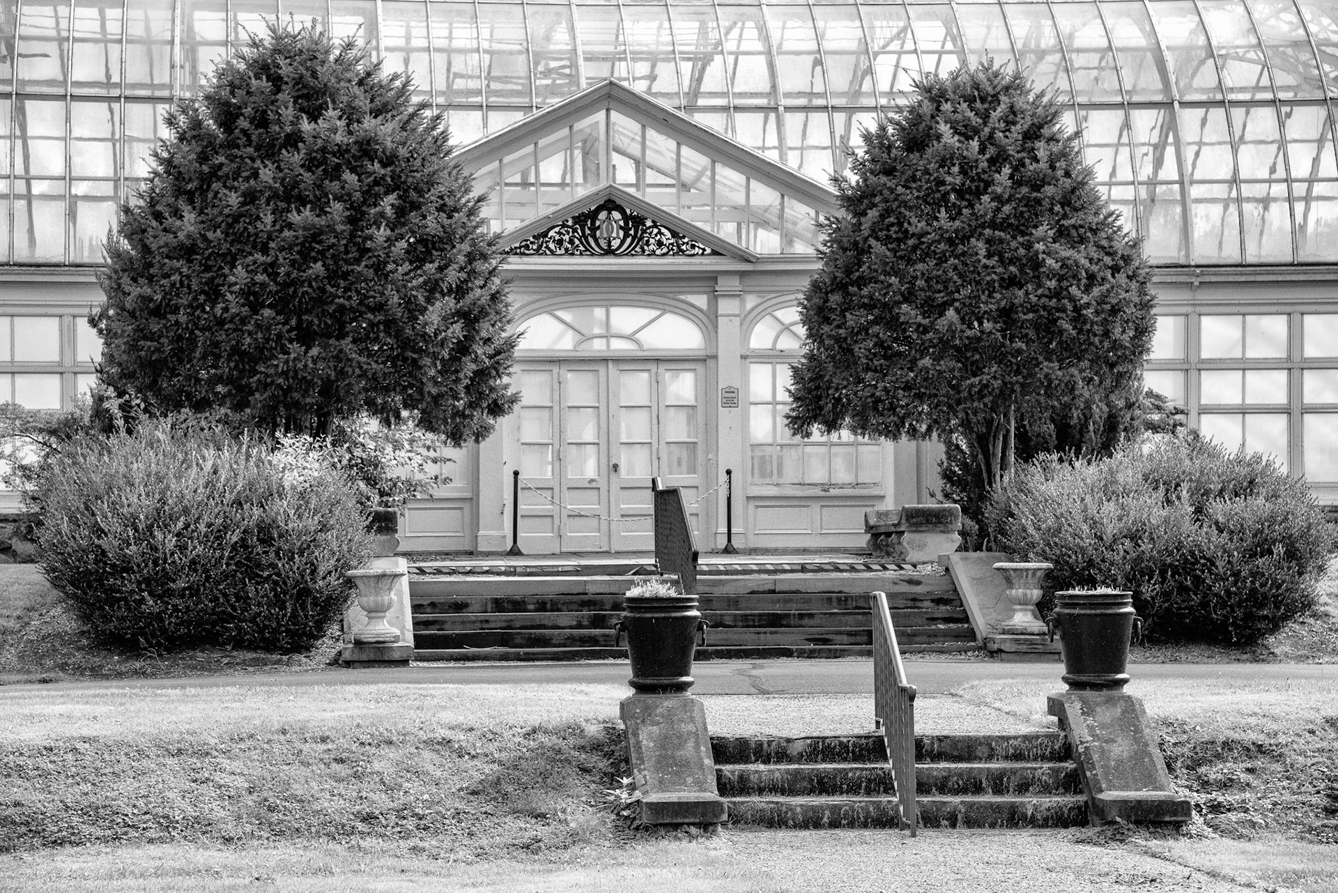 Black &amp; White 00226