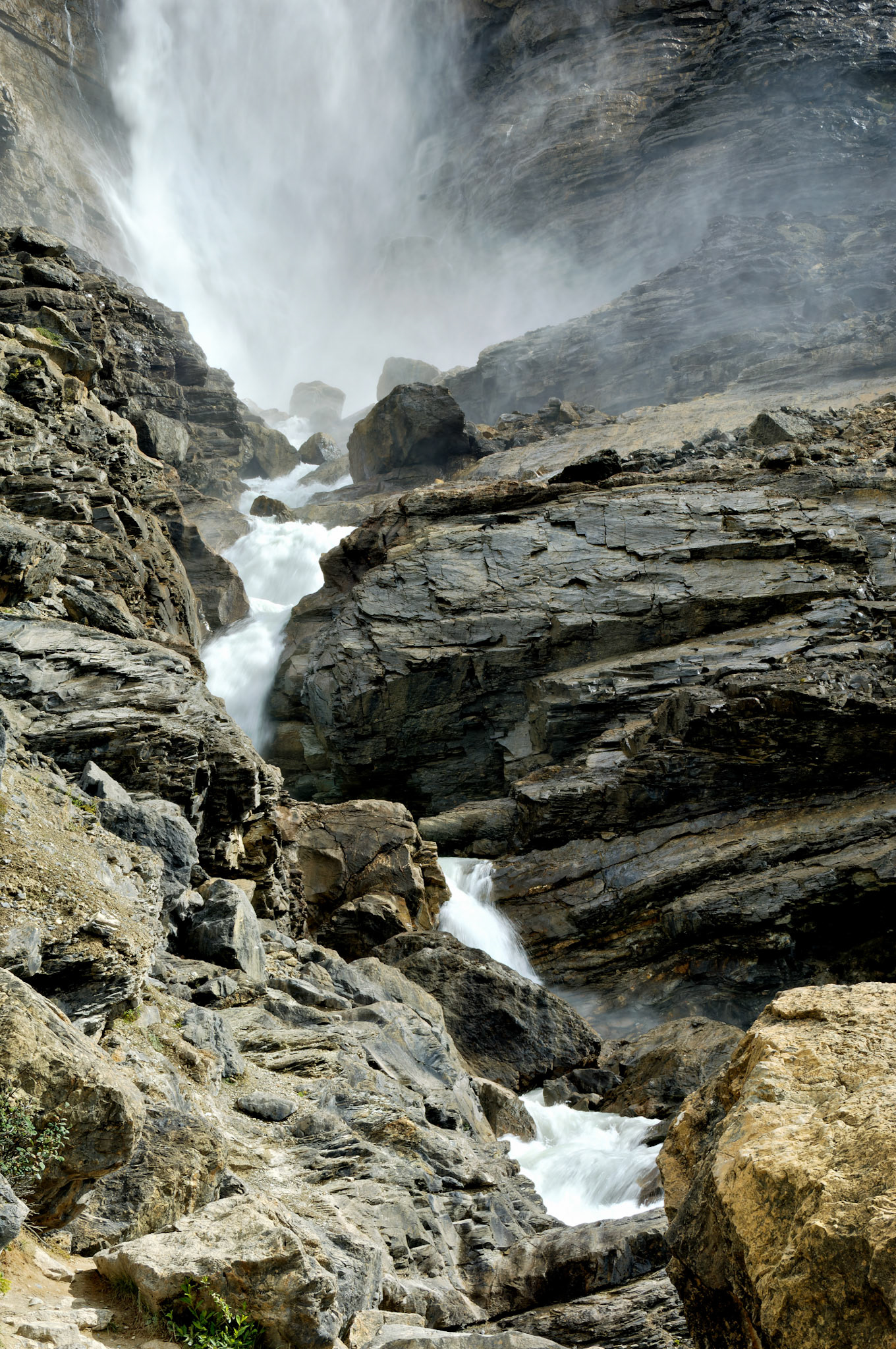 CN_20060803_0591_PS.dng