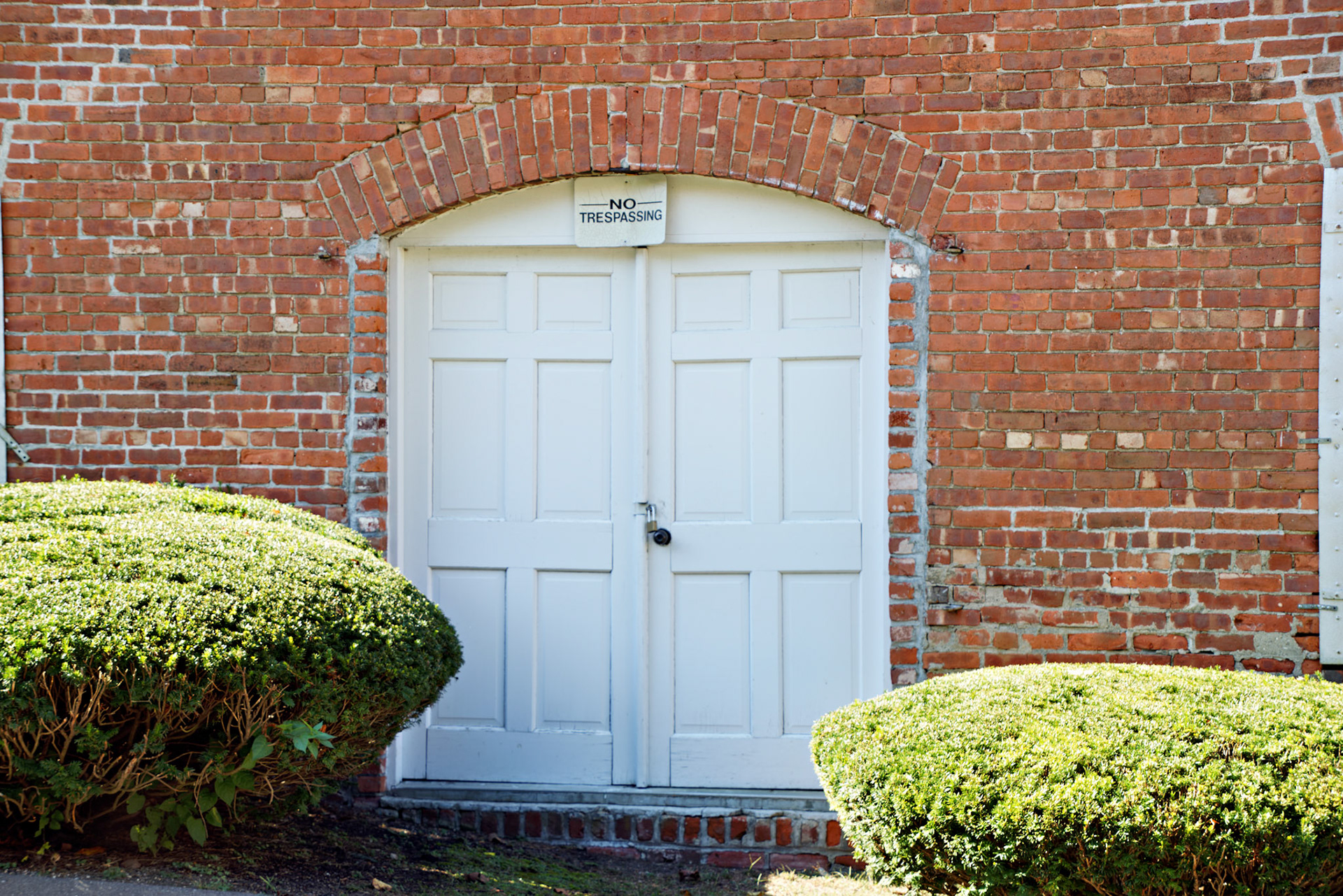 CT_20141016_0417_PS.dng