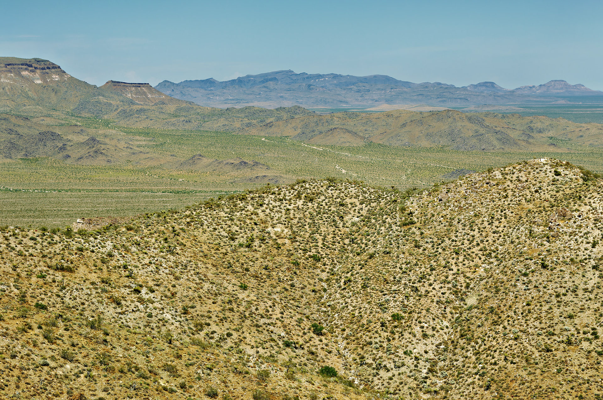 CA_20050614_0147_PS.dng