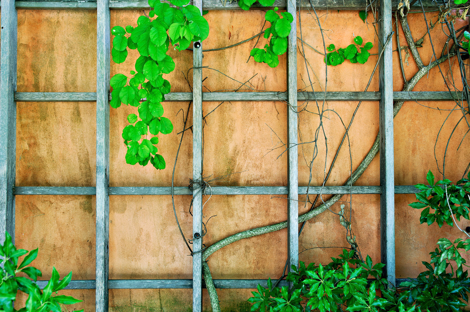 PA_GroundsForSculpture_20080814_0111_PS.dng