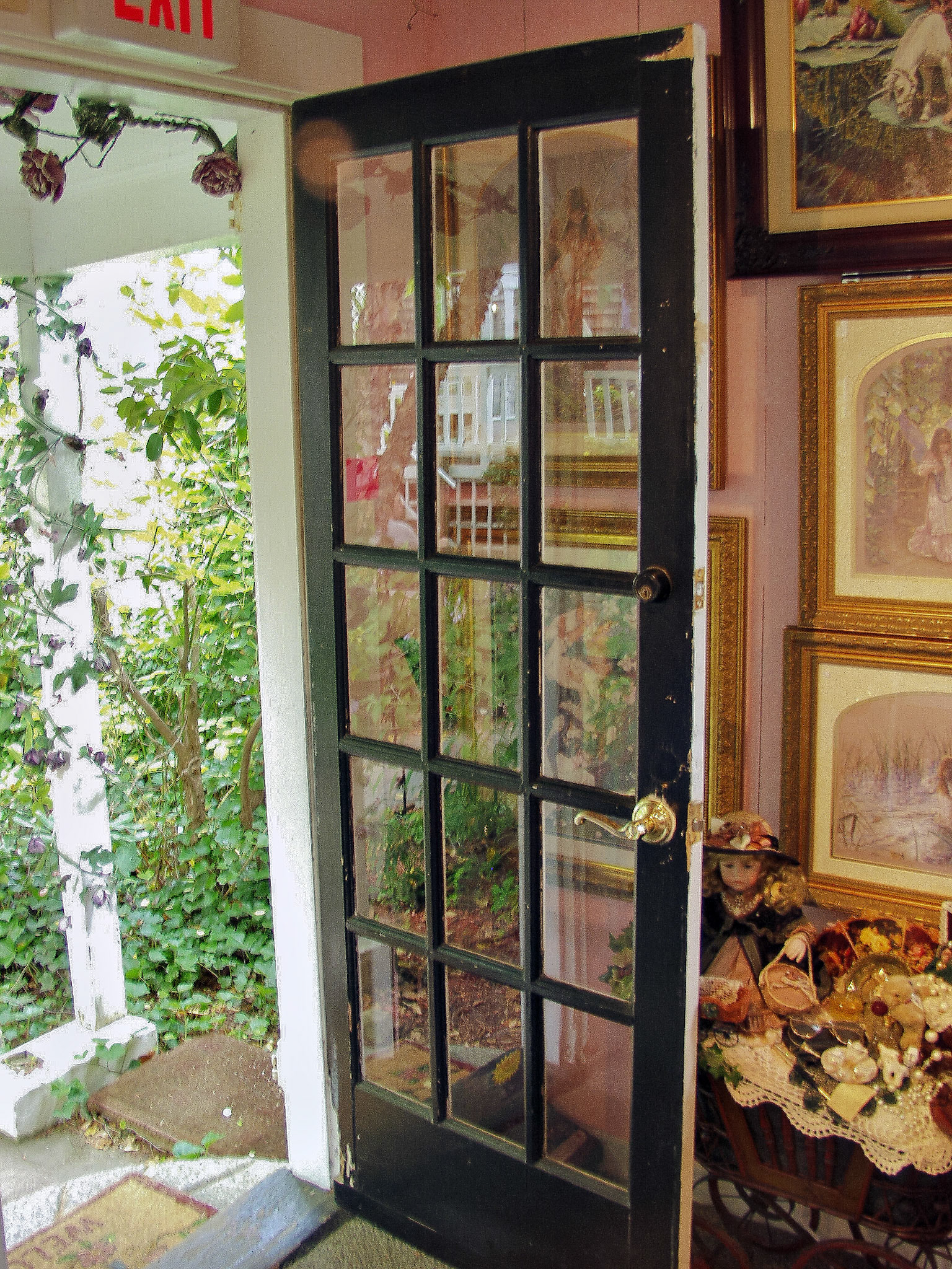 OLYMPUS DIGITAL CAMERA