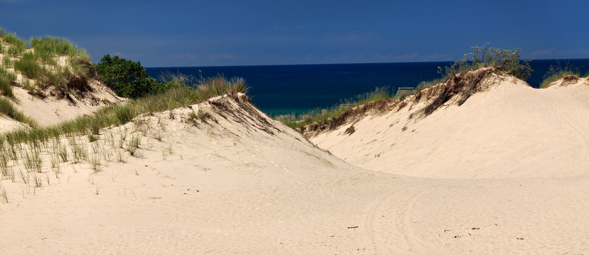 MI_New BuffaloArea_20160808_0159_PS.tif