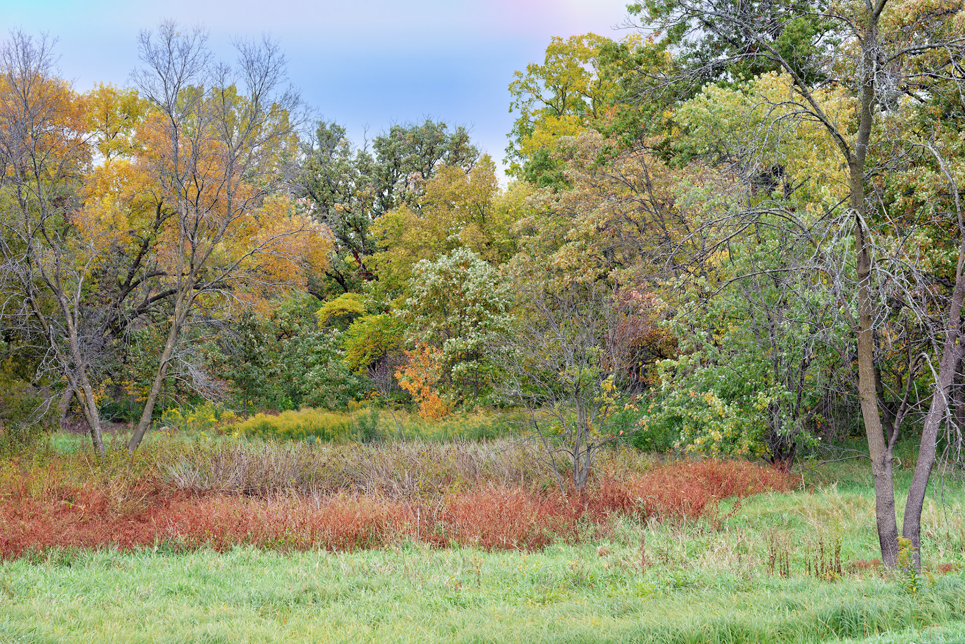 IL_Morton Arboretum_20121005_0524_PS.tif