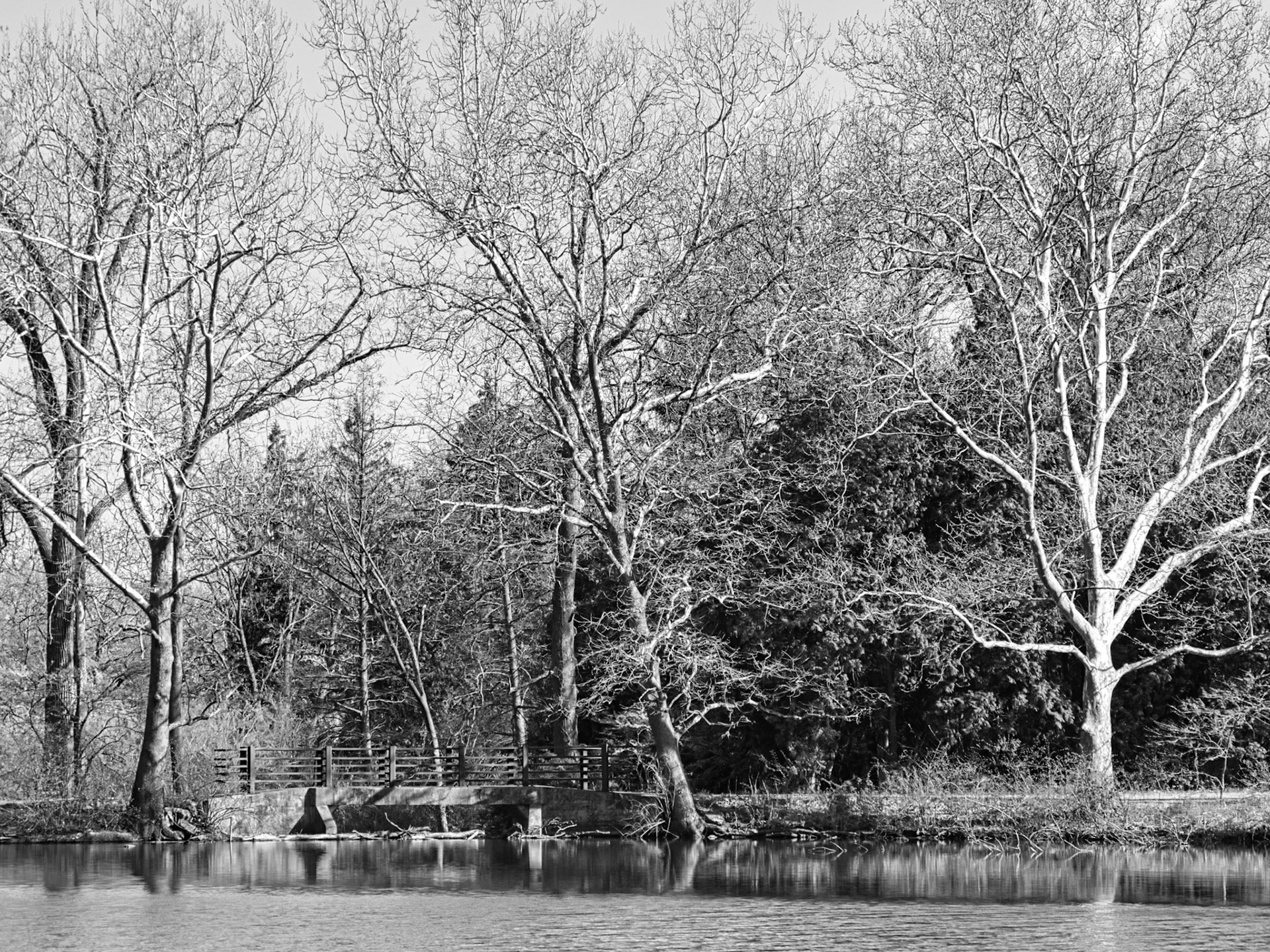 Black &amp; White 00261