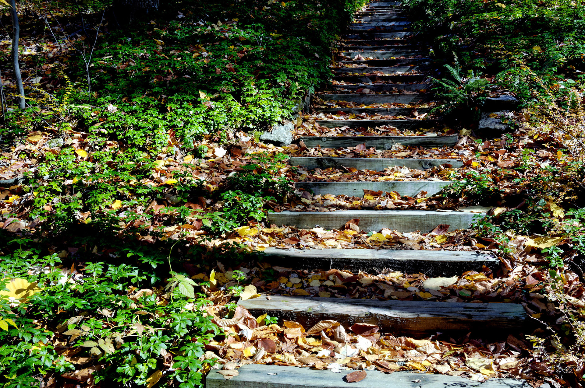 CT_20061021_0200_PS.dng