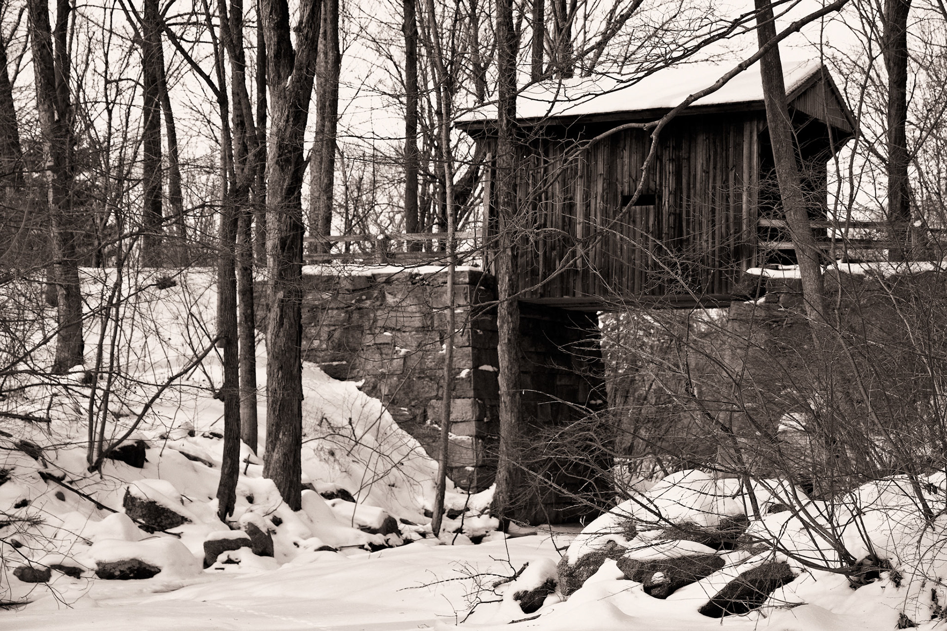 Black &amp; White Photos