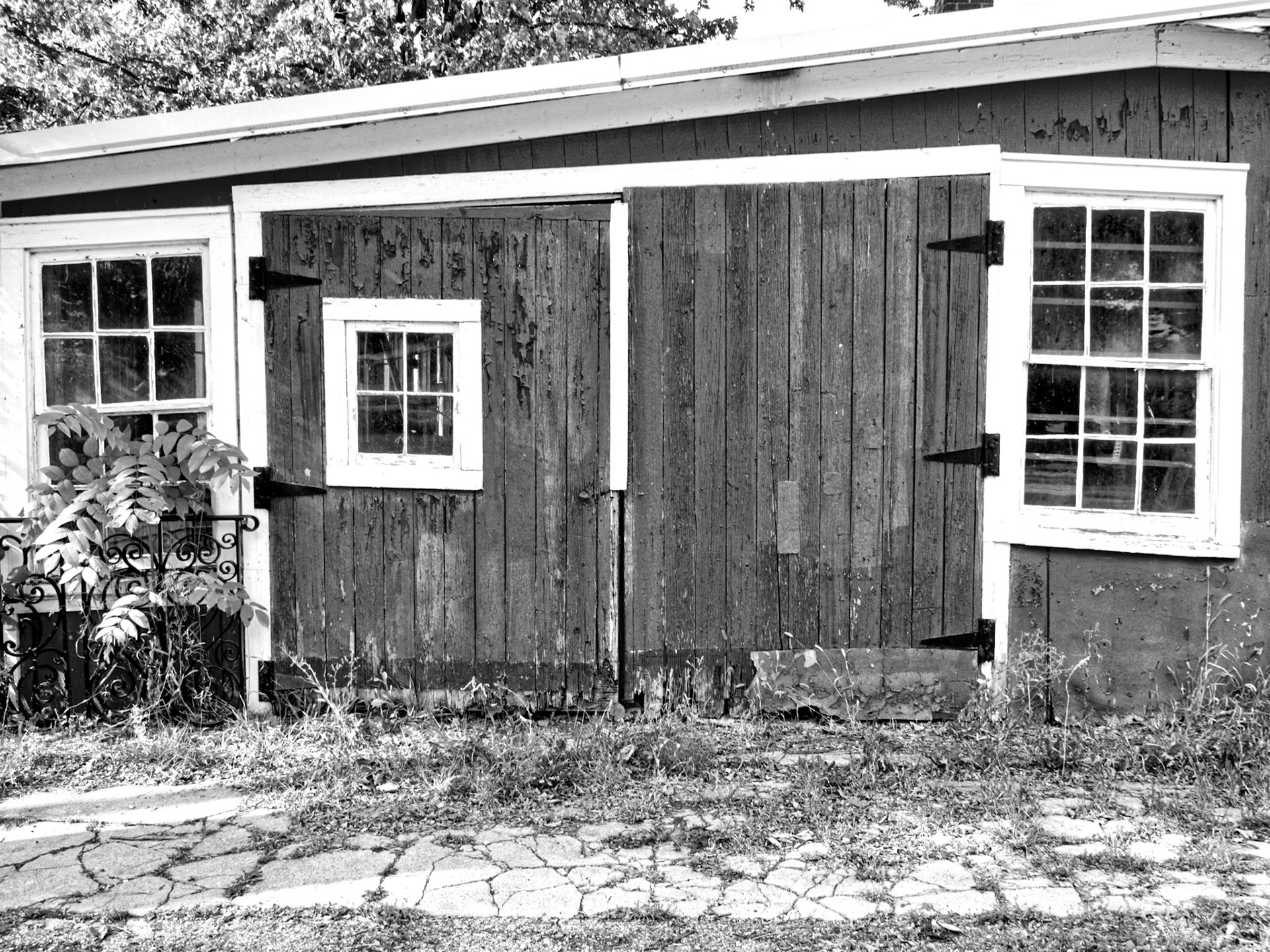 Black &amp; White 00241