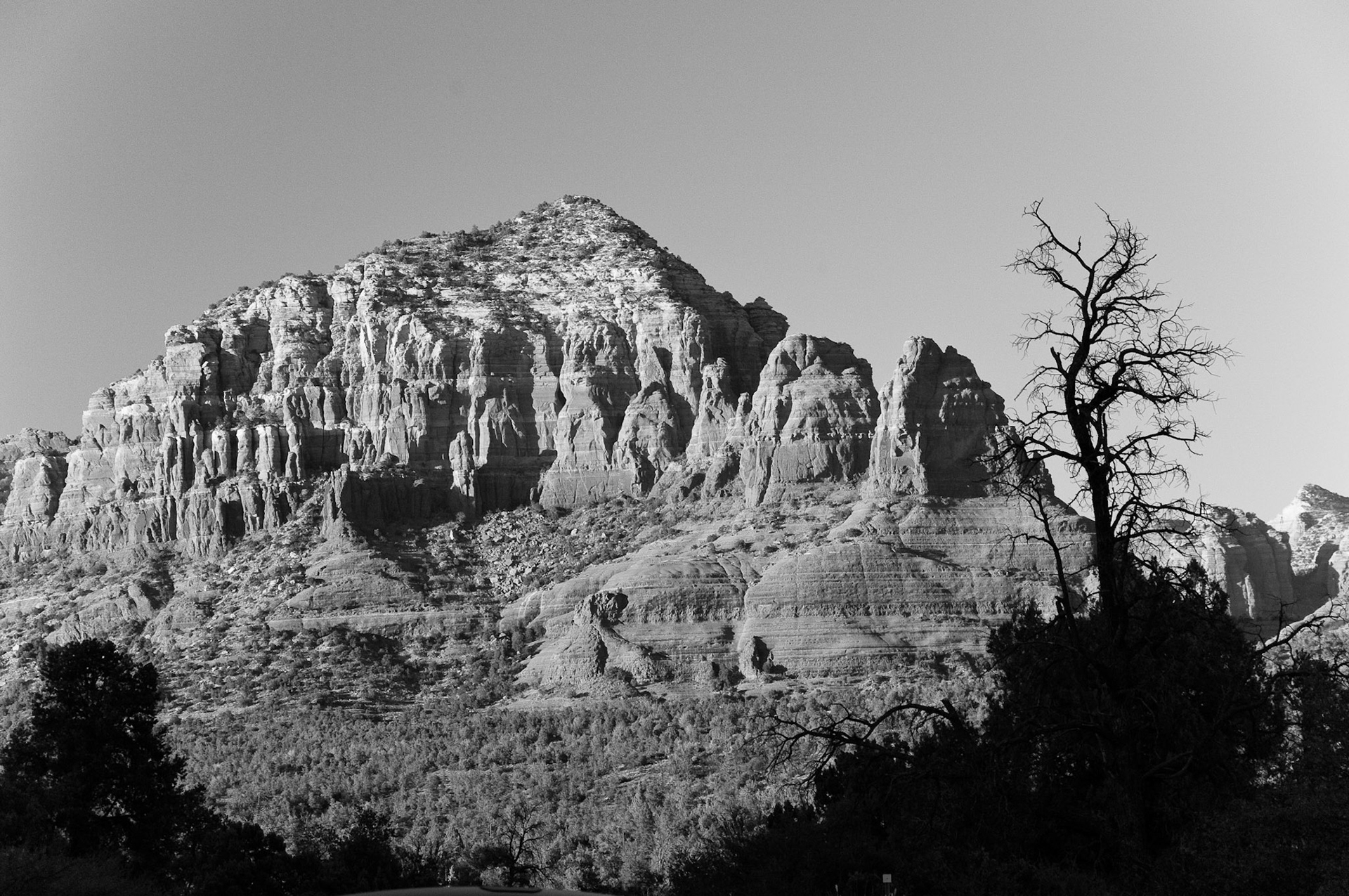 Black &amp; White Photos