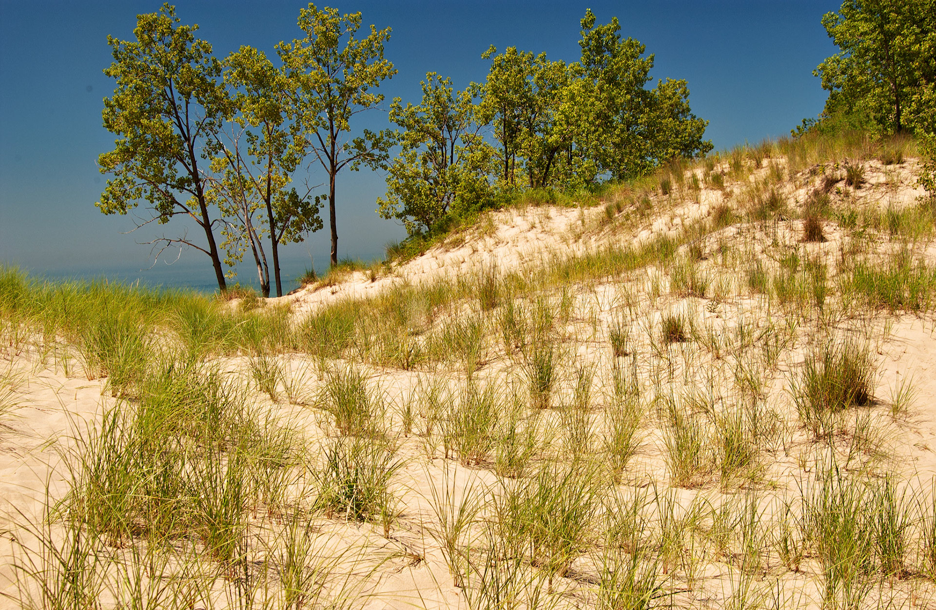 MI_New BuffaloArea_20020731_0012_PS.tif