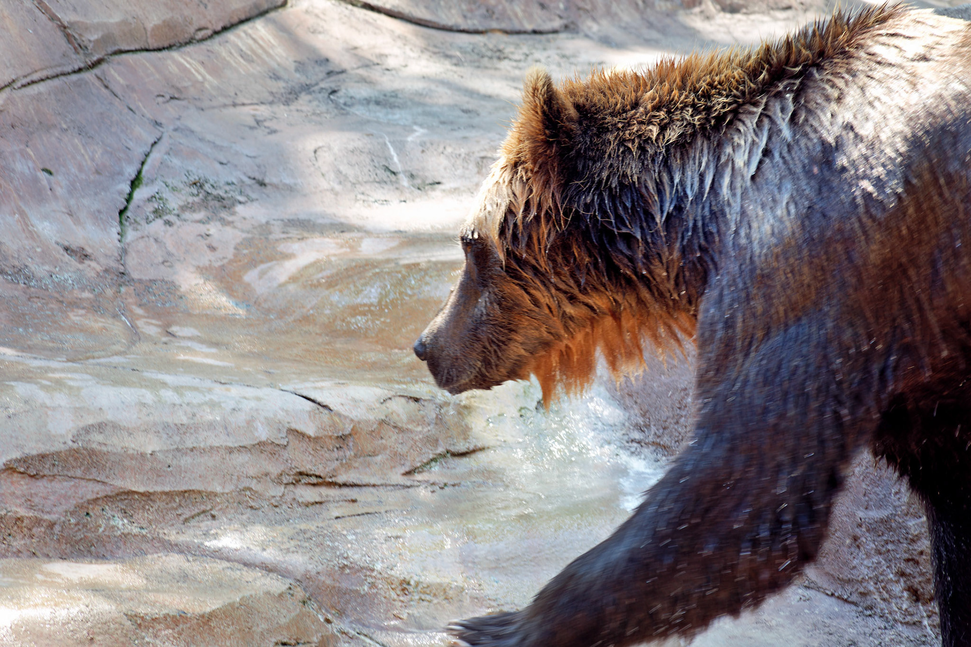 IN_Indianapolis Zoo_20170608_0229_PS.tif