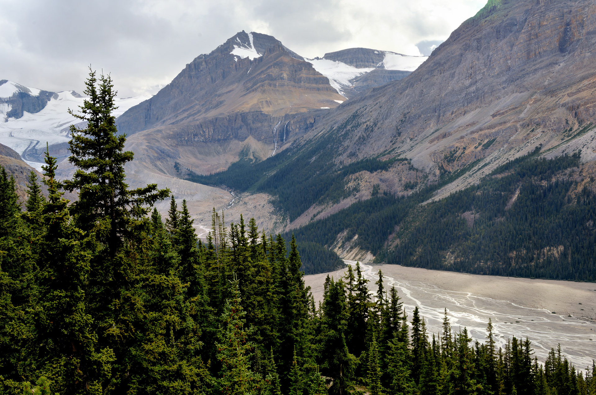 CN_20060802_0249_PS.dng