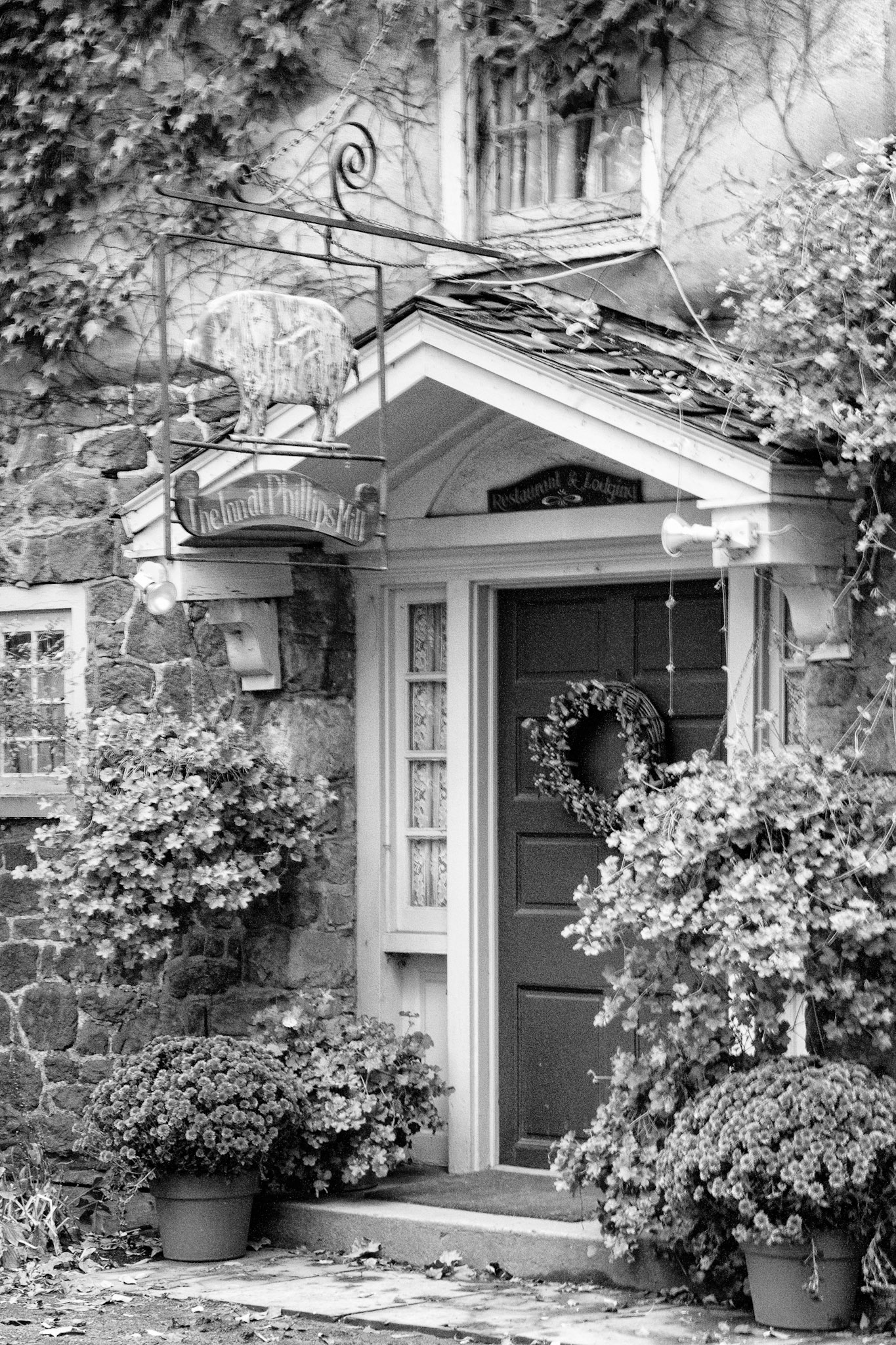 Black &amp; White Photos