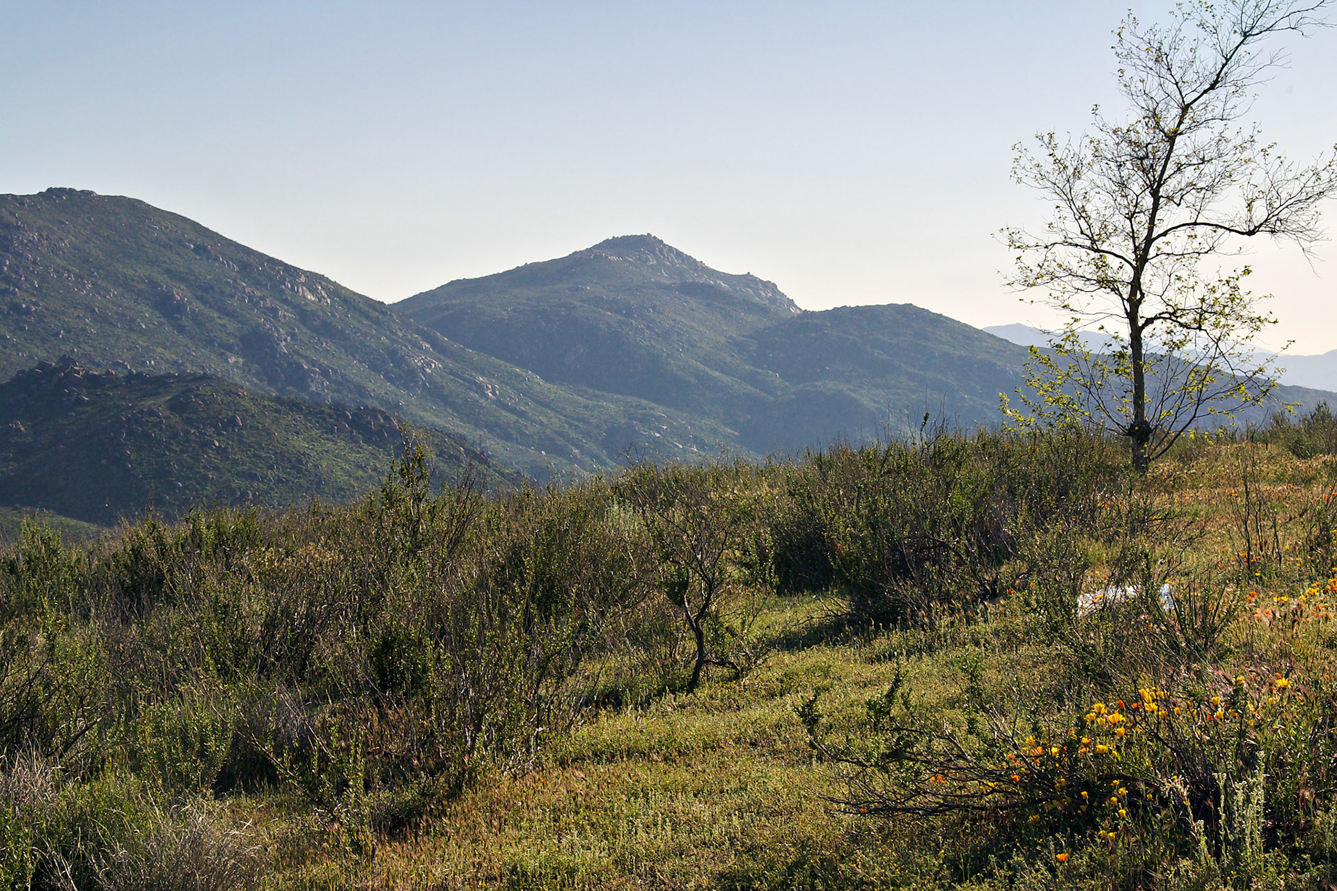 CA_LA_20030326_0003_PS.dng