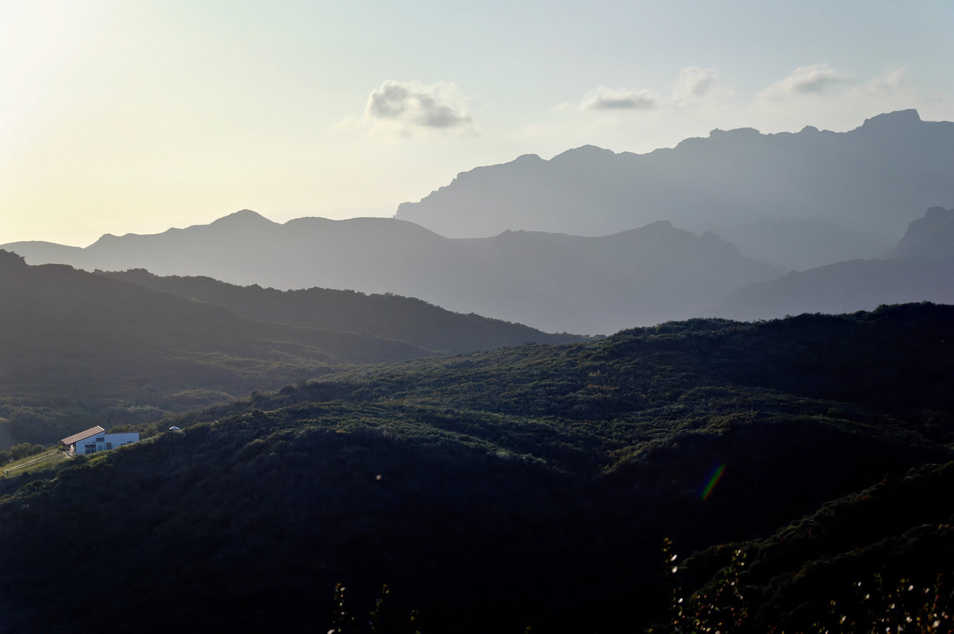 CA_LA_20060504_0343_PS.dng