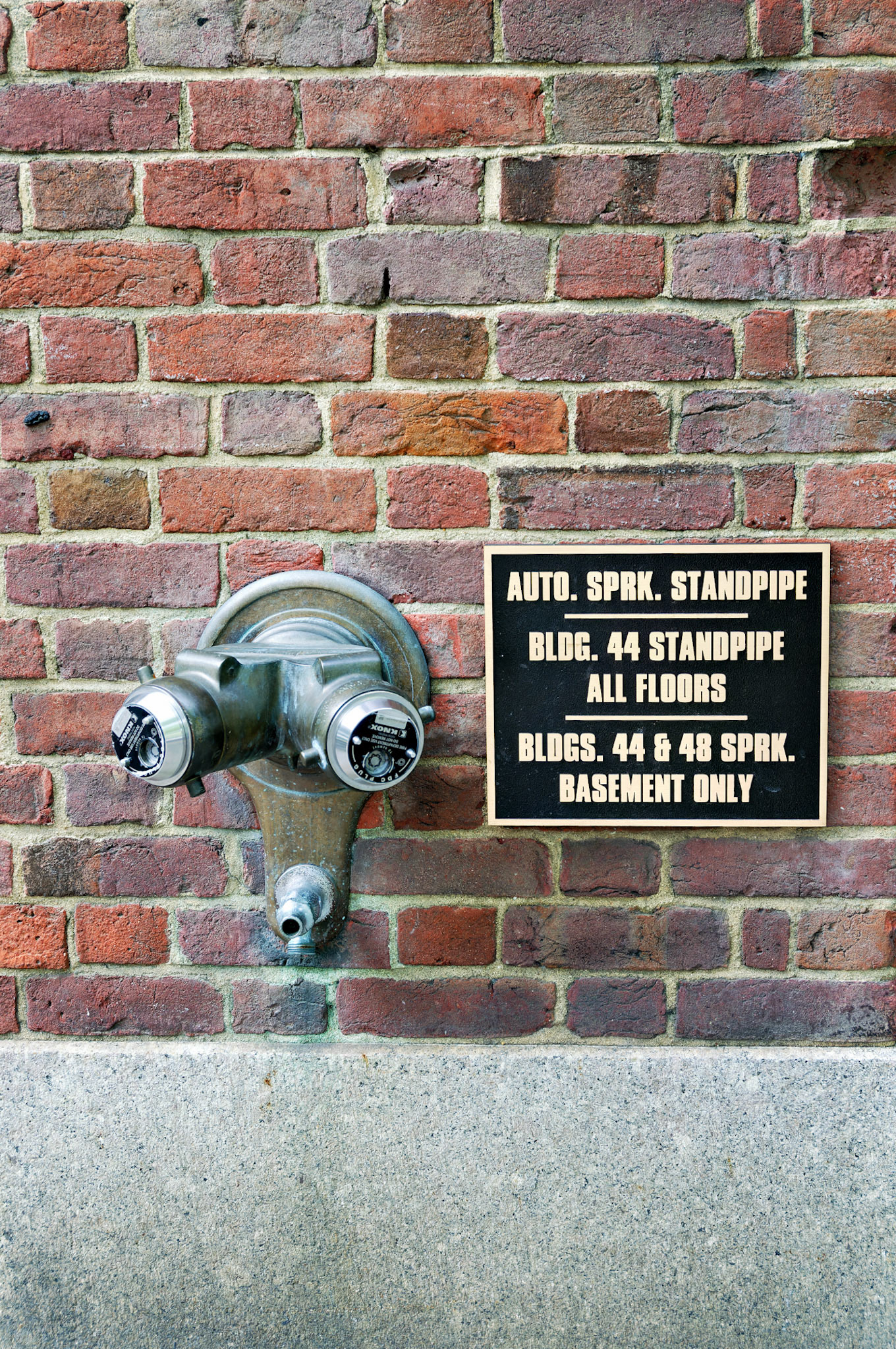 PA_GroundsForSculpture_20080813_0023_PS.dng