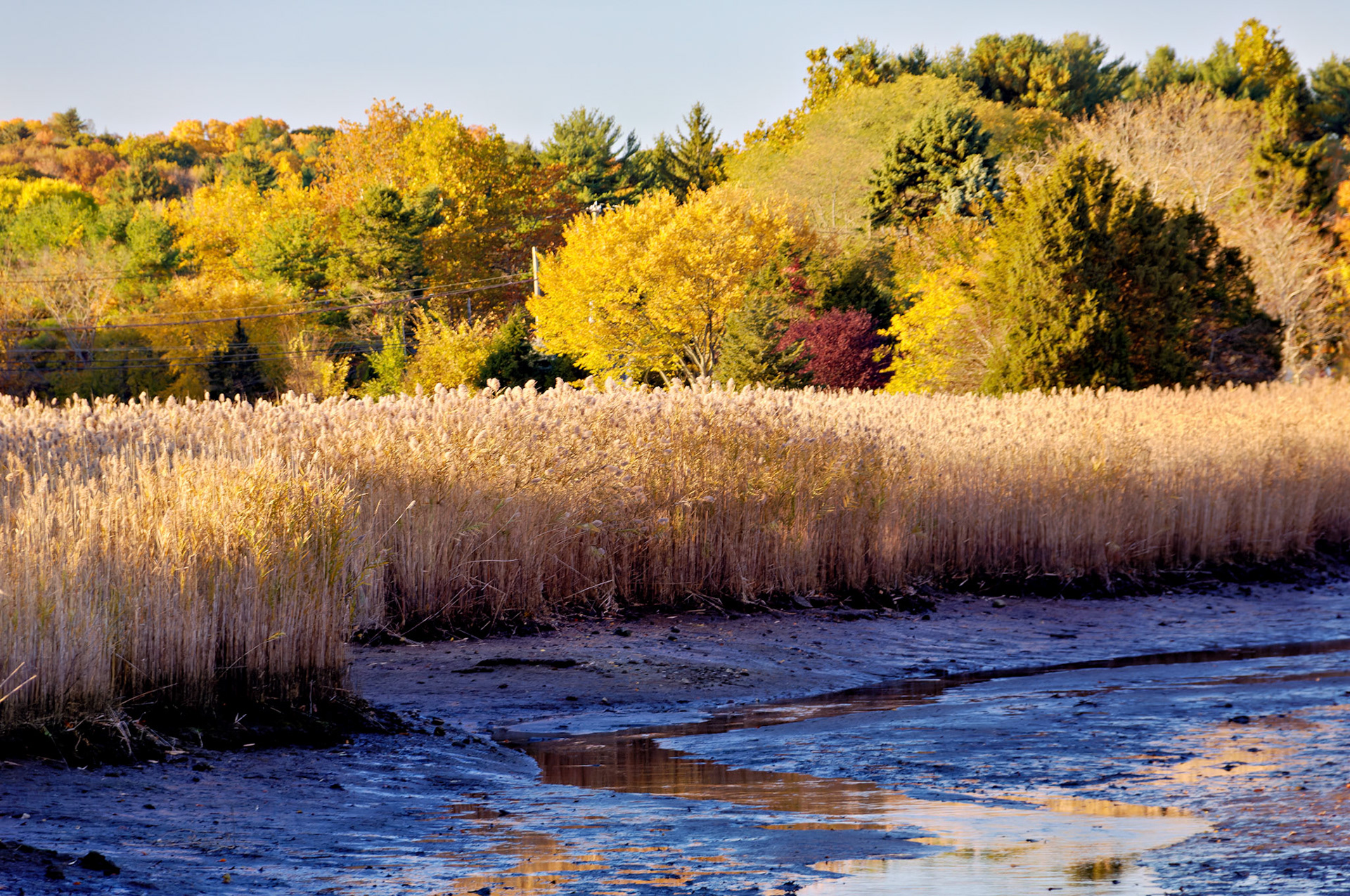 CT_20051102_0060_PS.dng