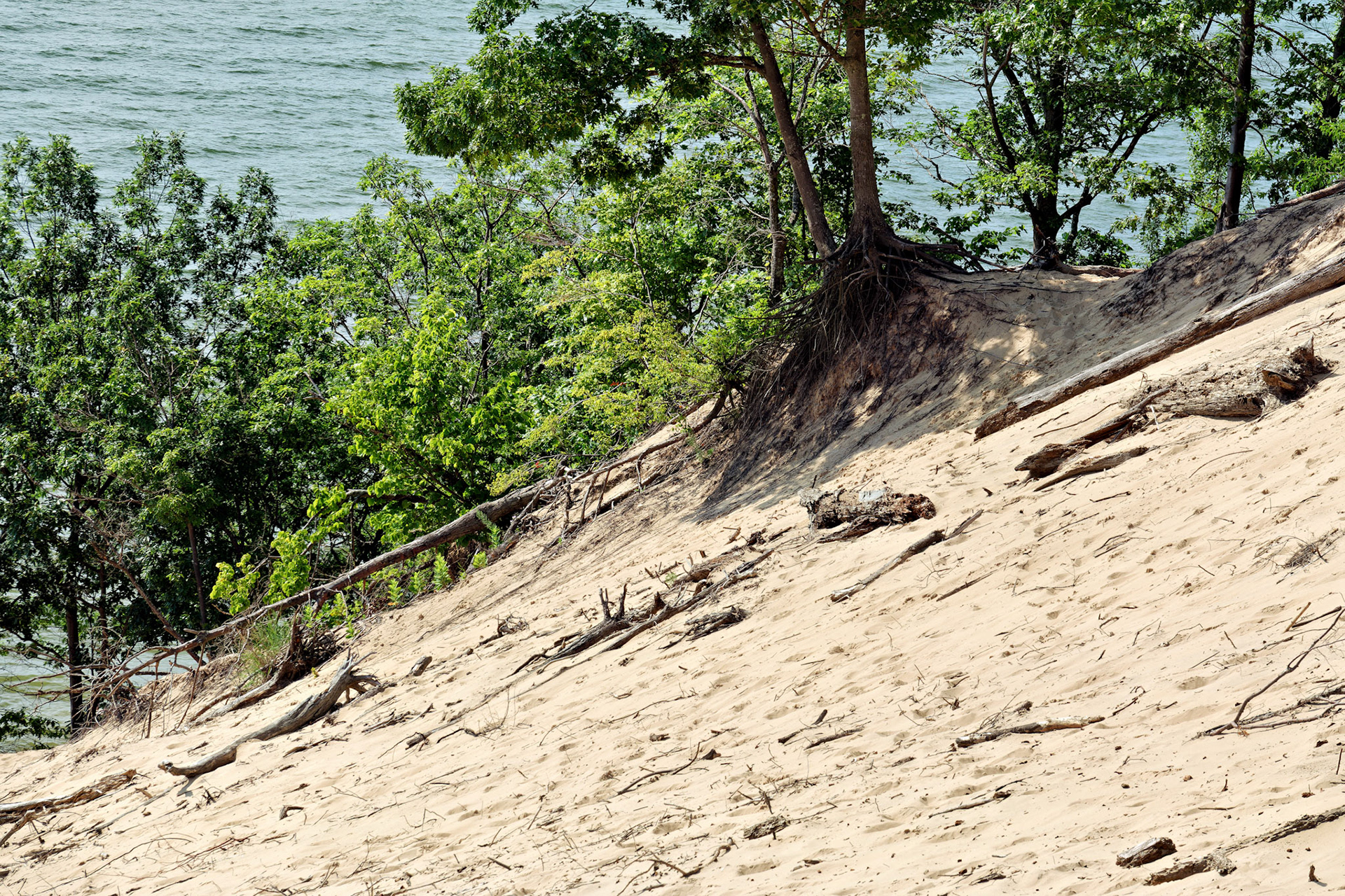 MI_New BuffaloArea_20170715_0258_PS.tif