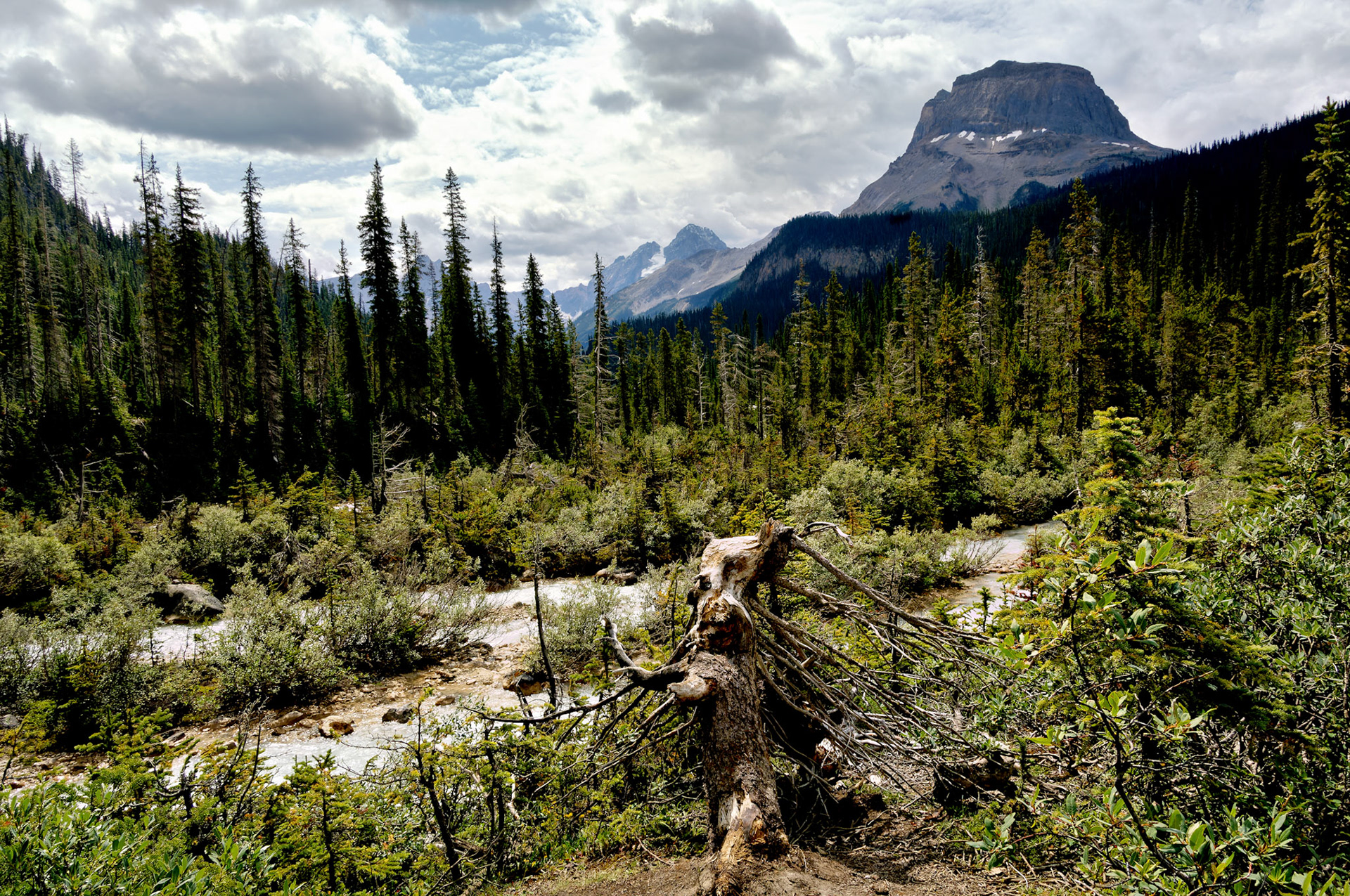 CN_20060803_0346_PS.dng