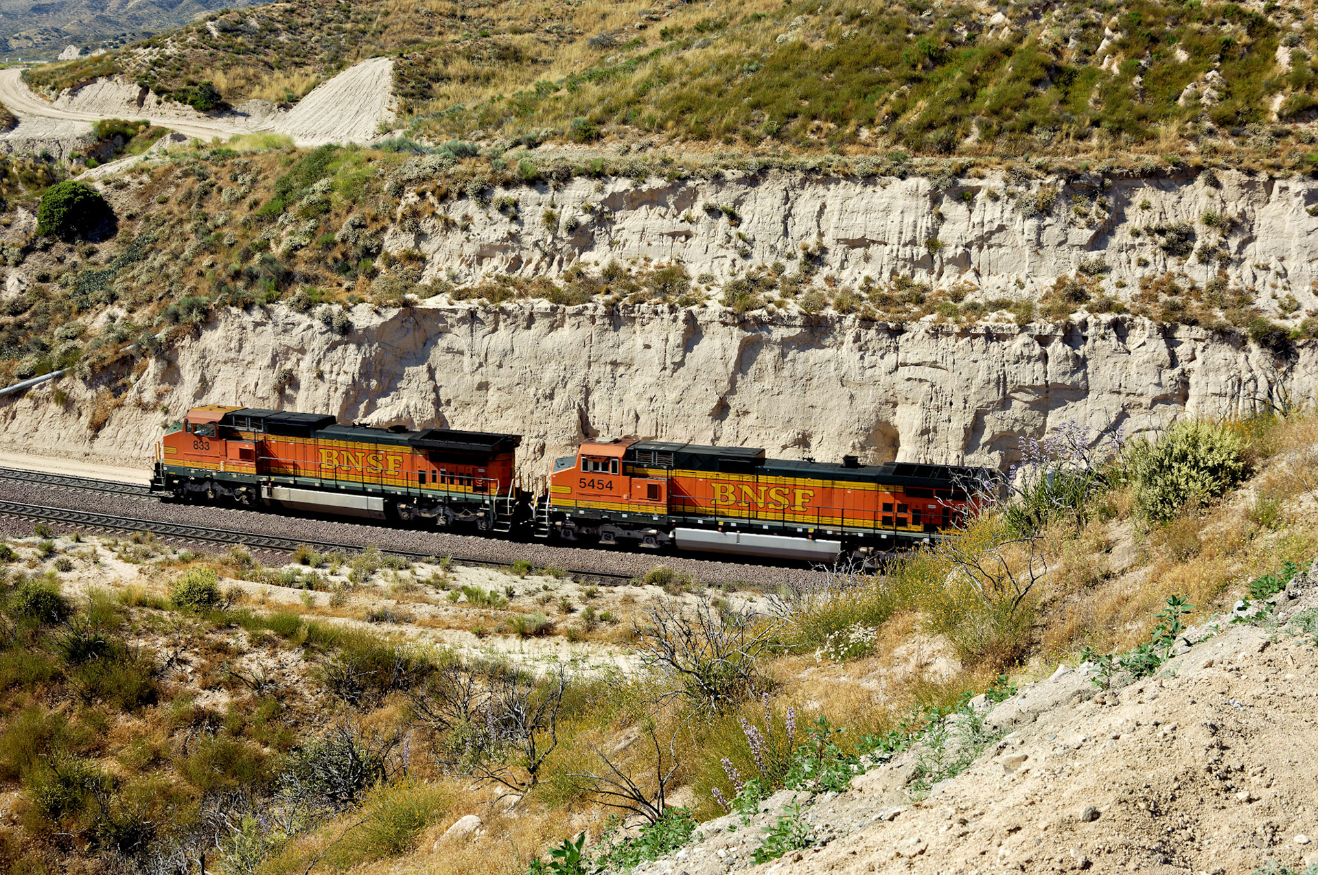 CA_20050613_0038_PS.dng