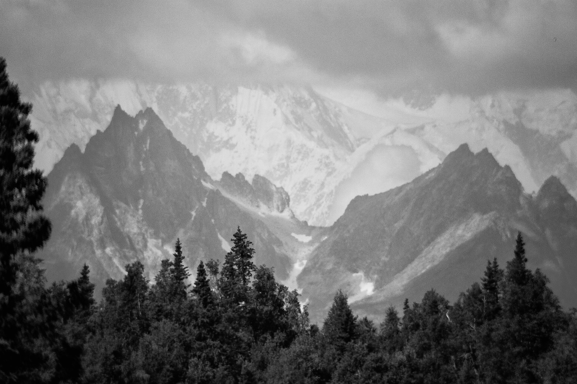 Black &amp; White 00067