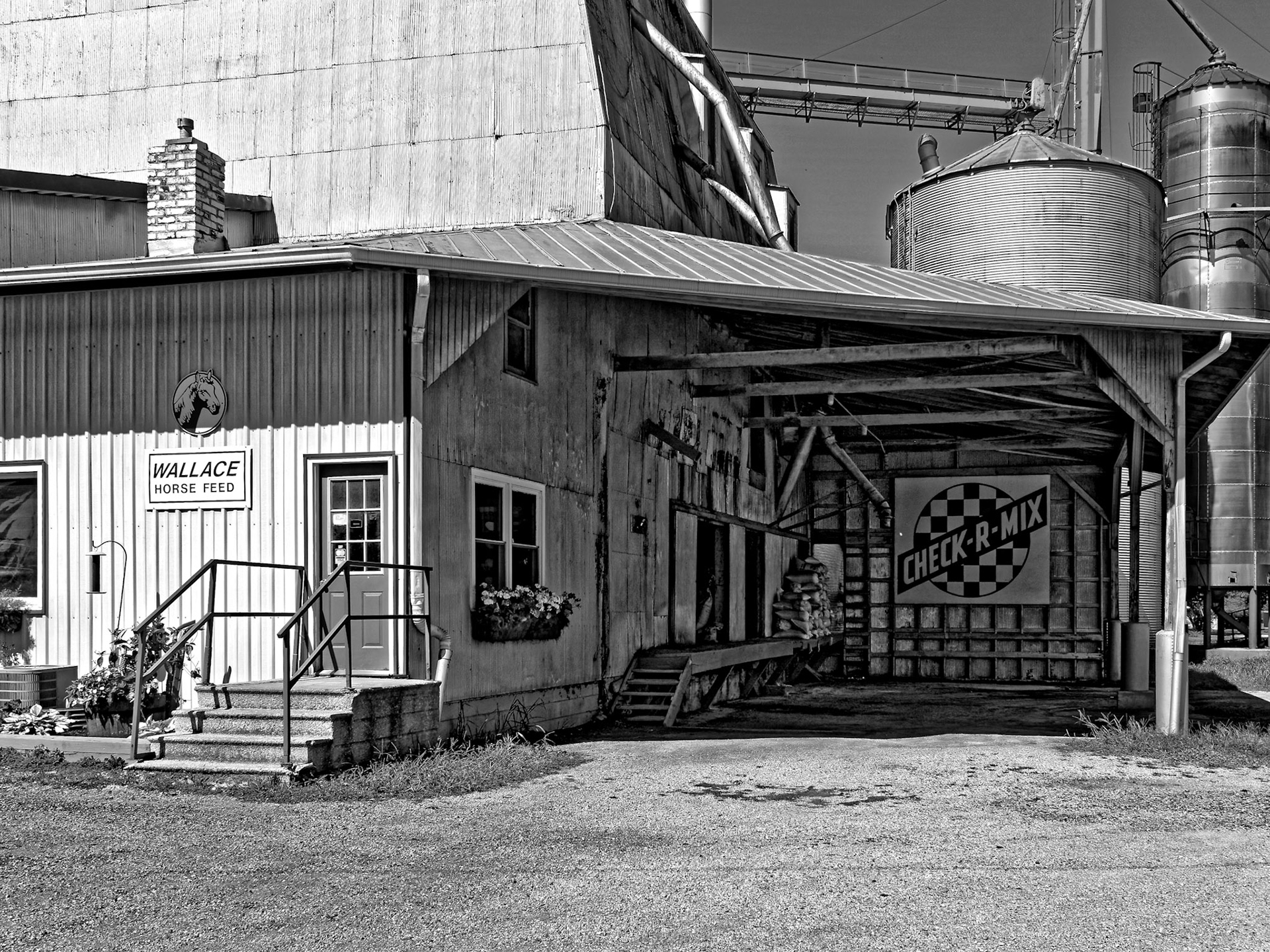 Black &amp; White 00230