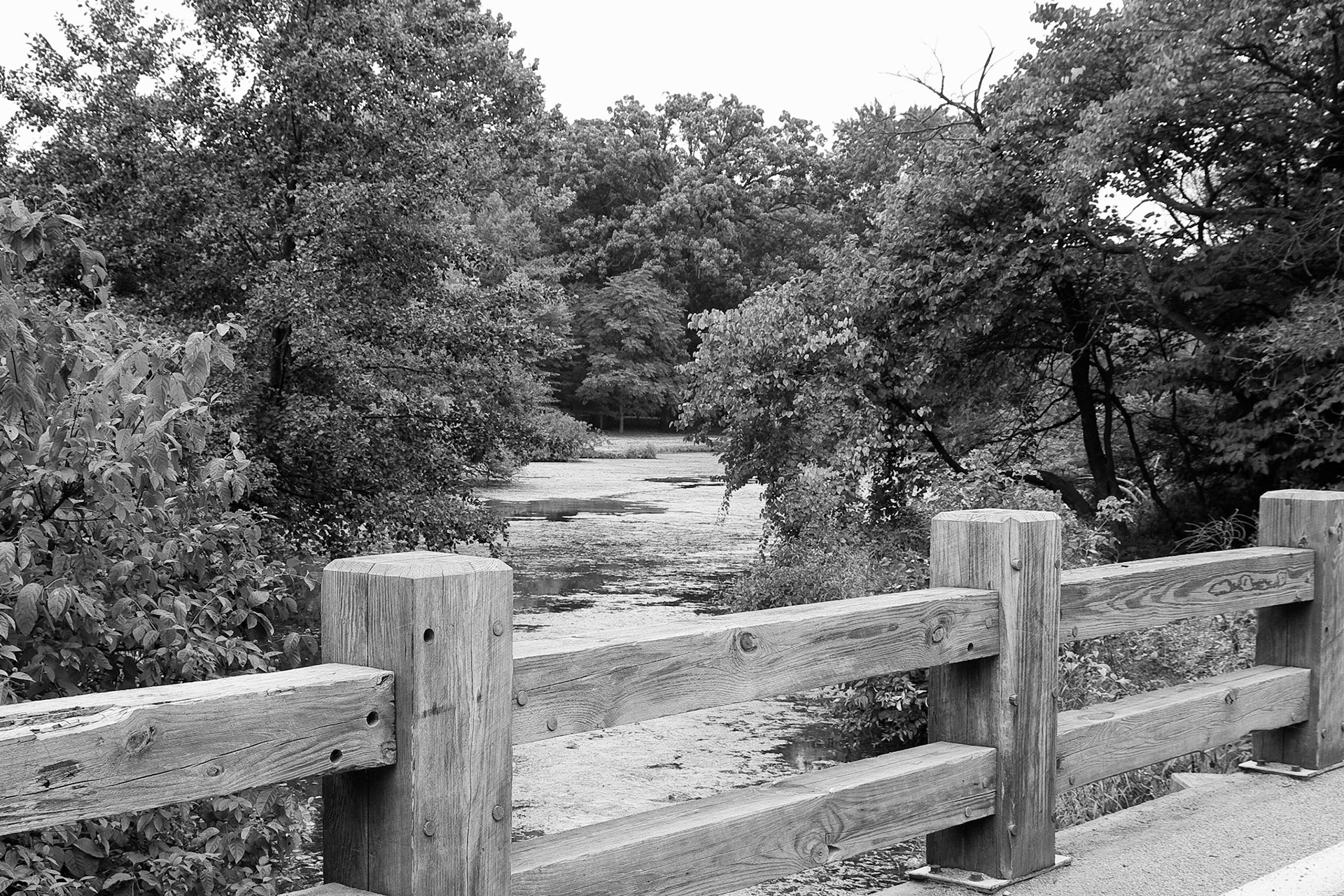 Black &amp; White Photos