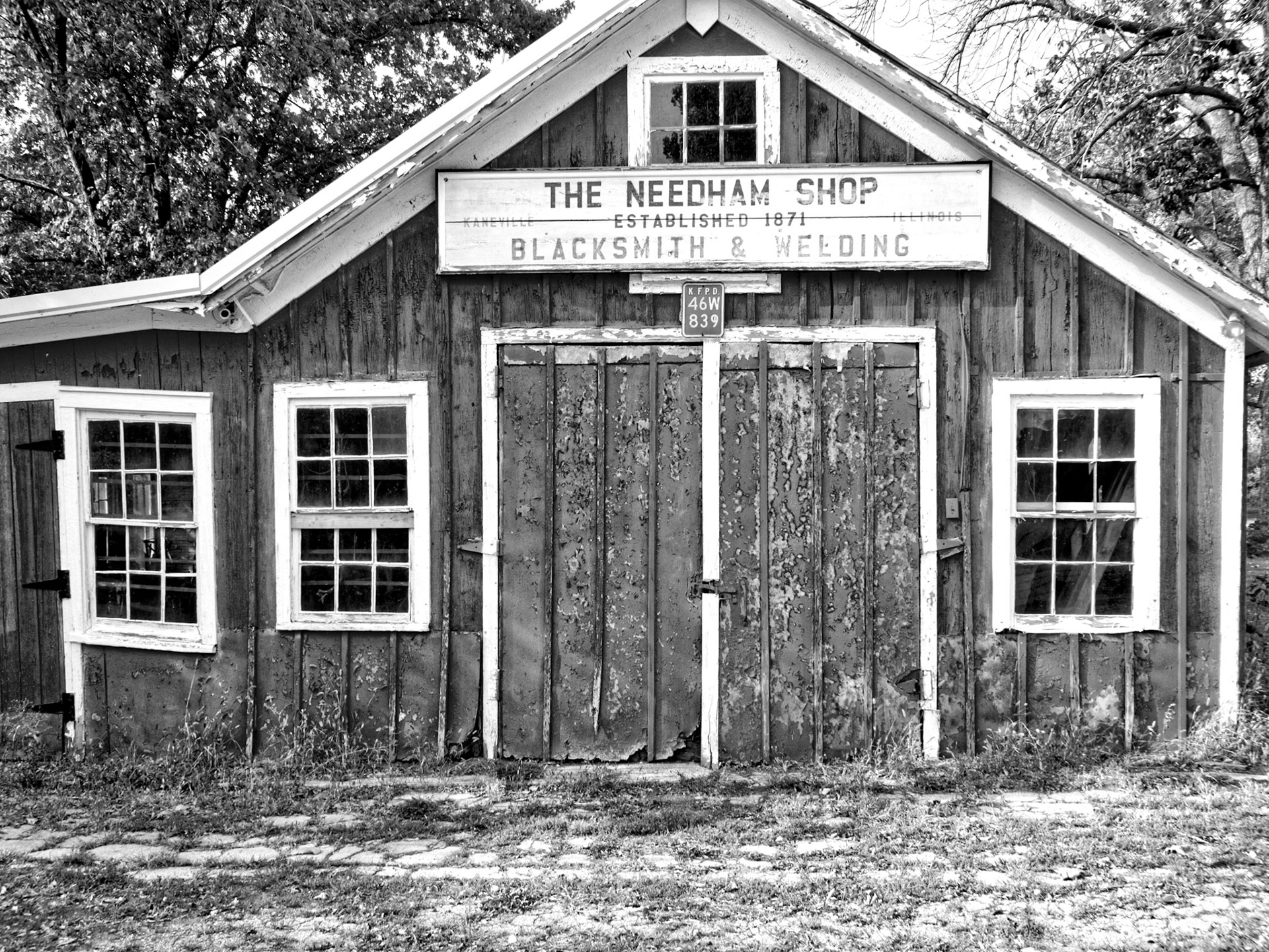 Black &amp; White 00242