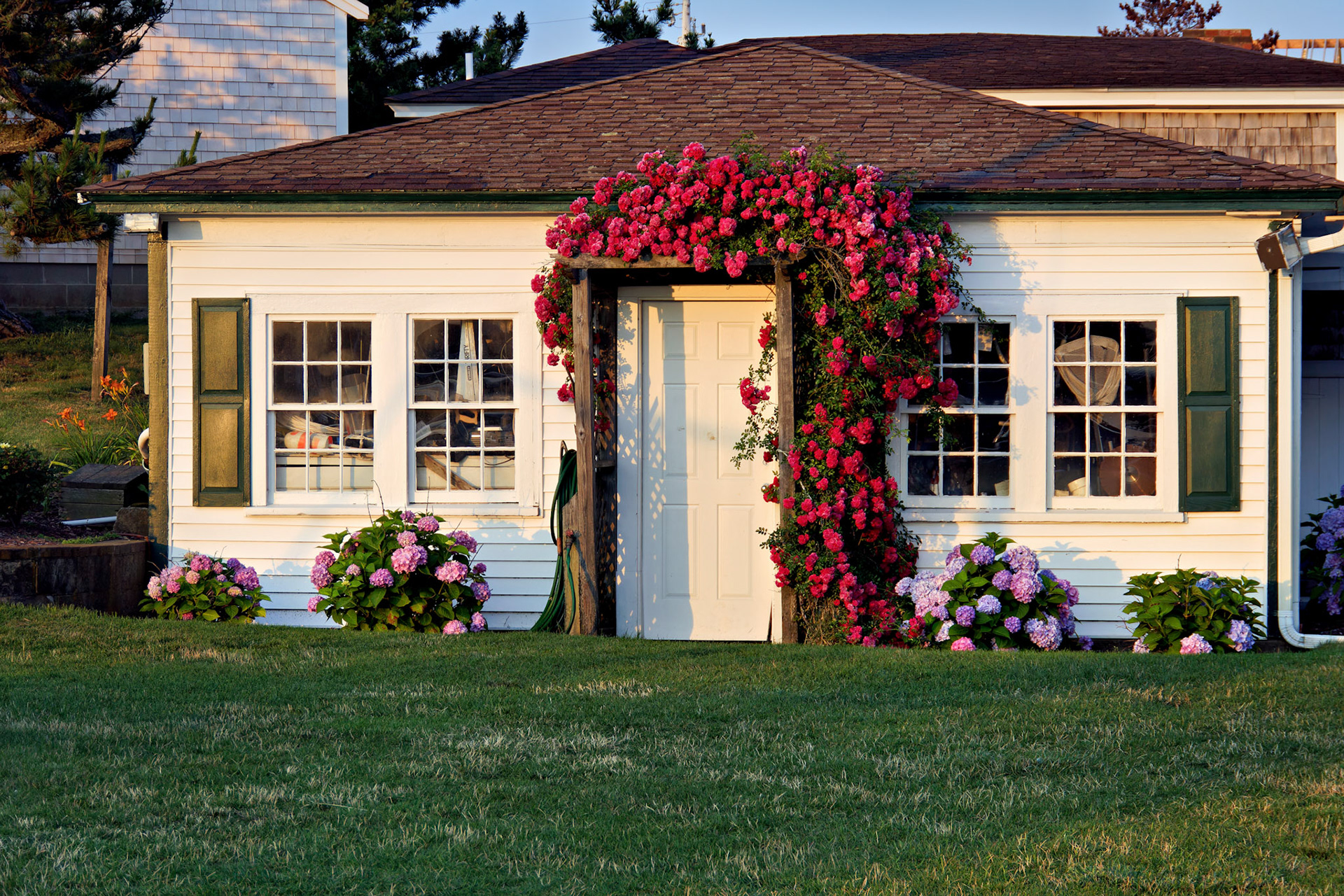 MA_CapeCod_20150713_0006_PS.dng