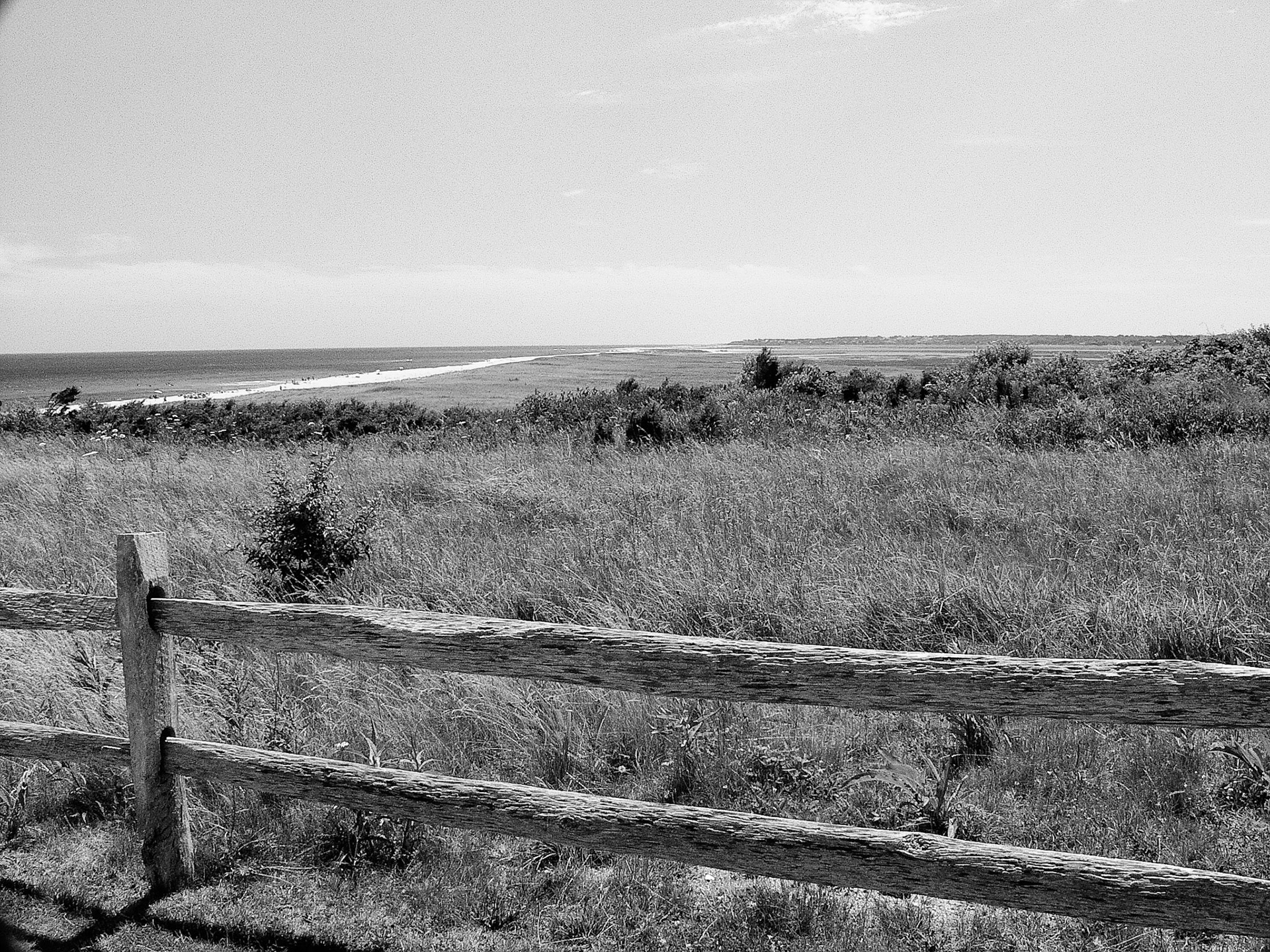 Black &amp; White Photos