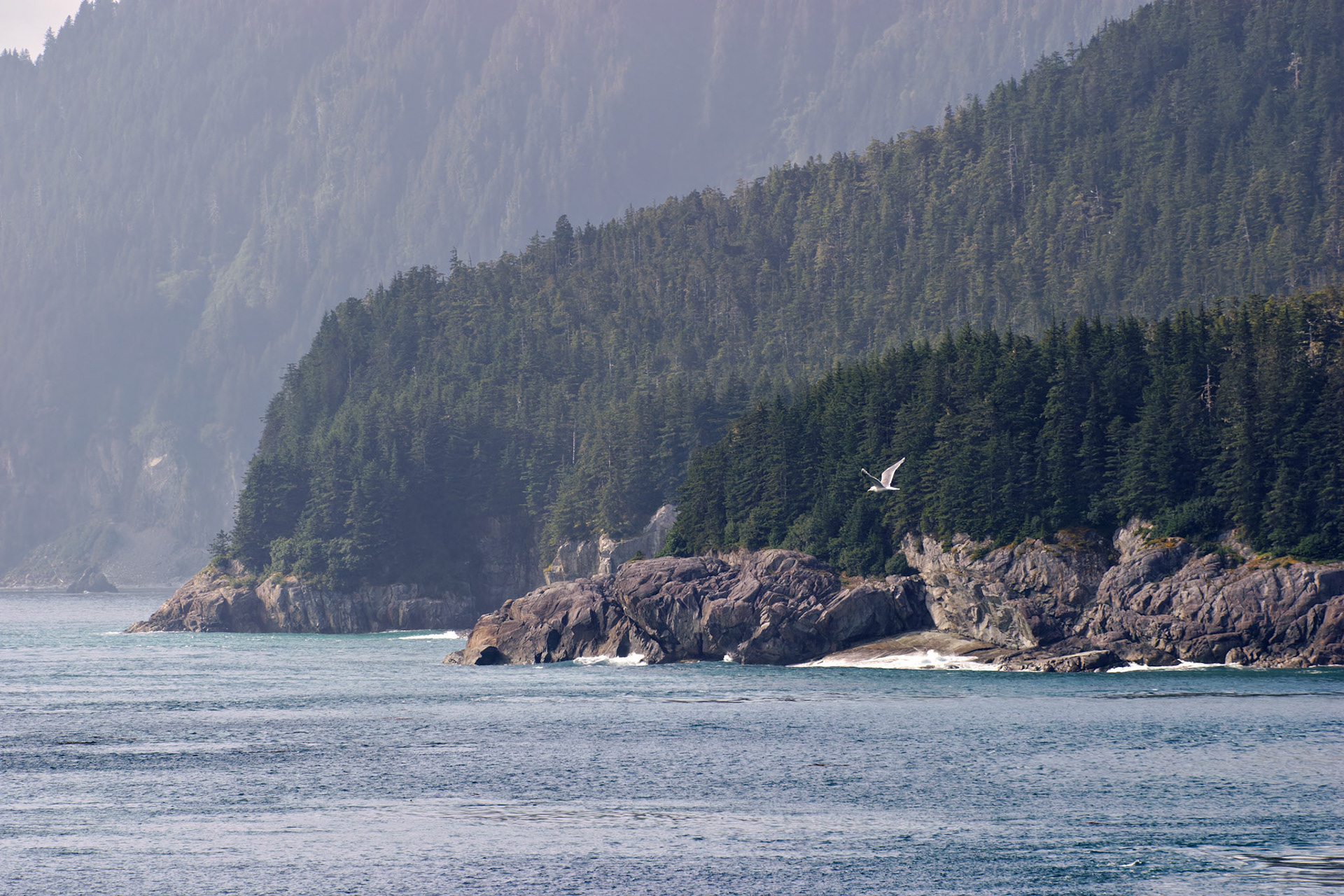 AK_20030802_0422_PS.dng