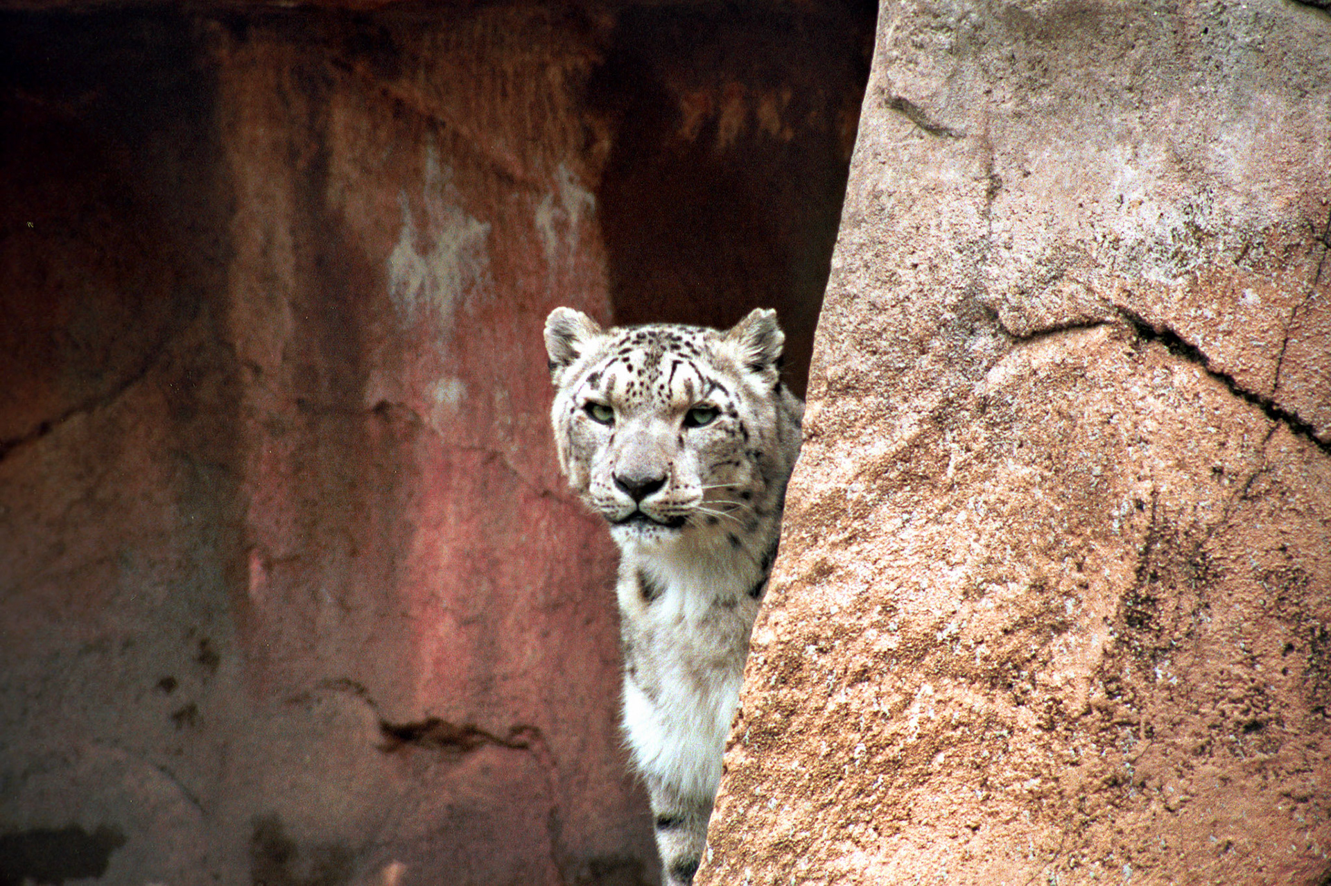 Wildlife_20221129_0783_PS.dng