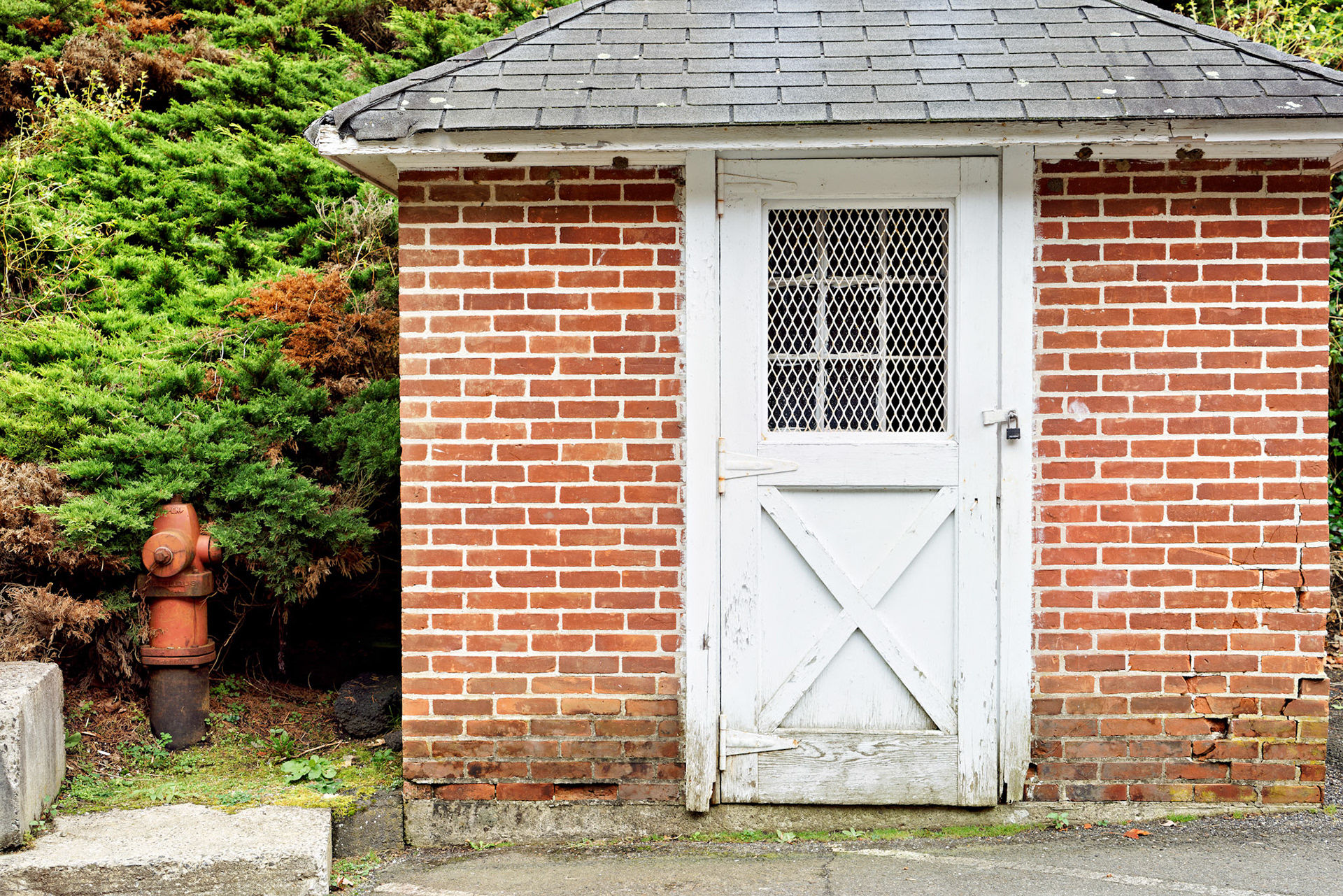 CT_20141017_0436_PS.dng