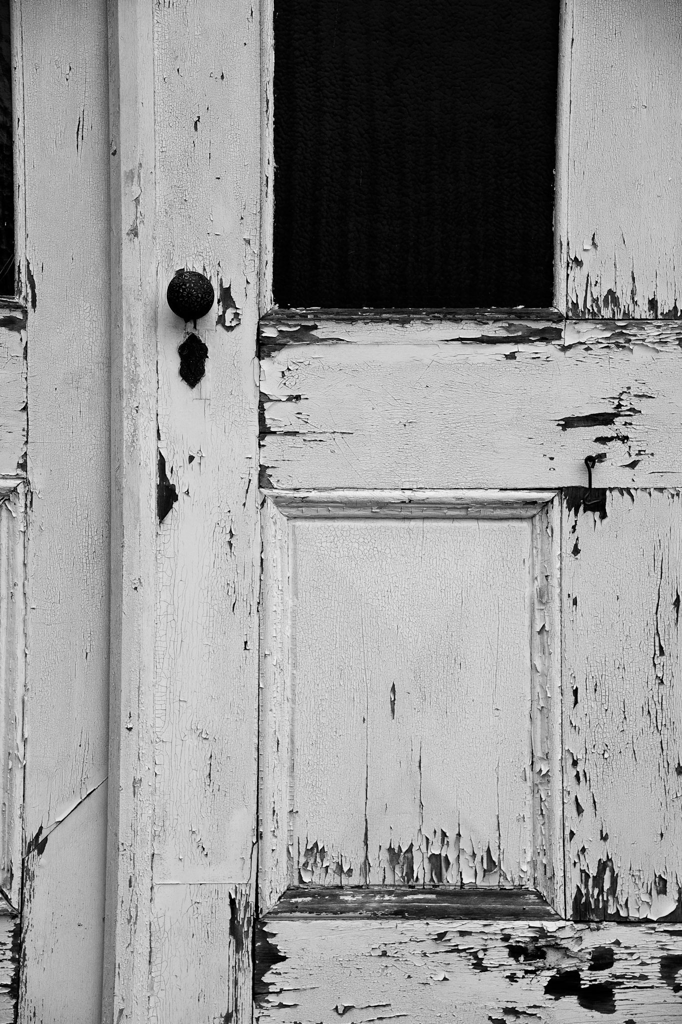 Black &amp; White 00134