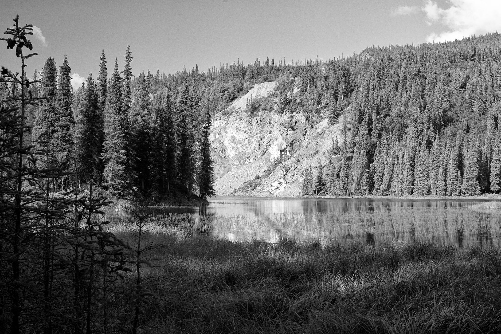 Black &amp; White 00071