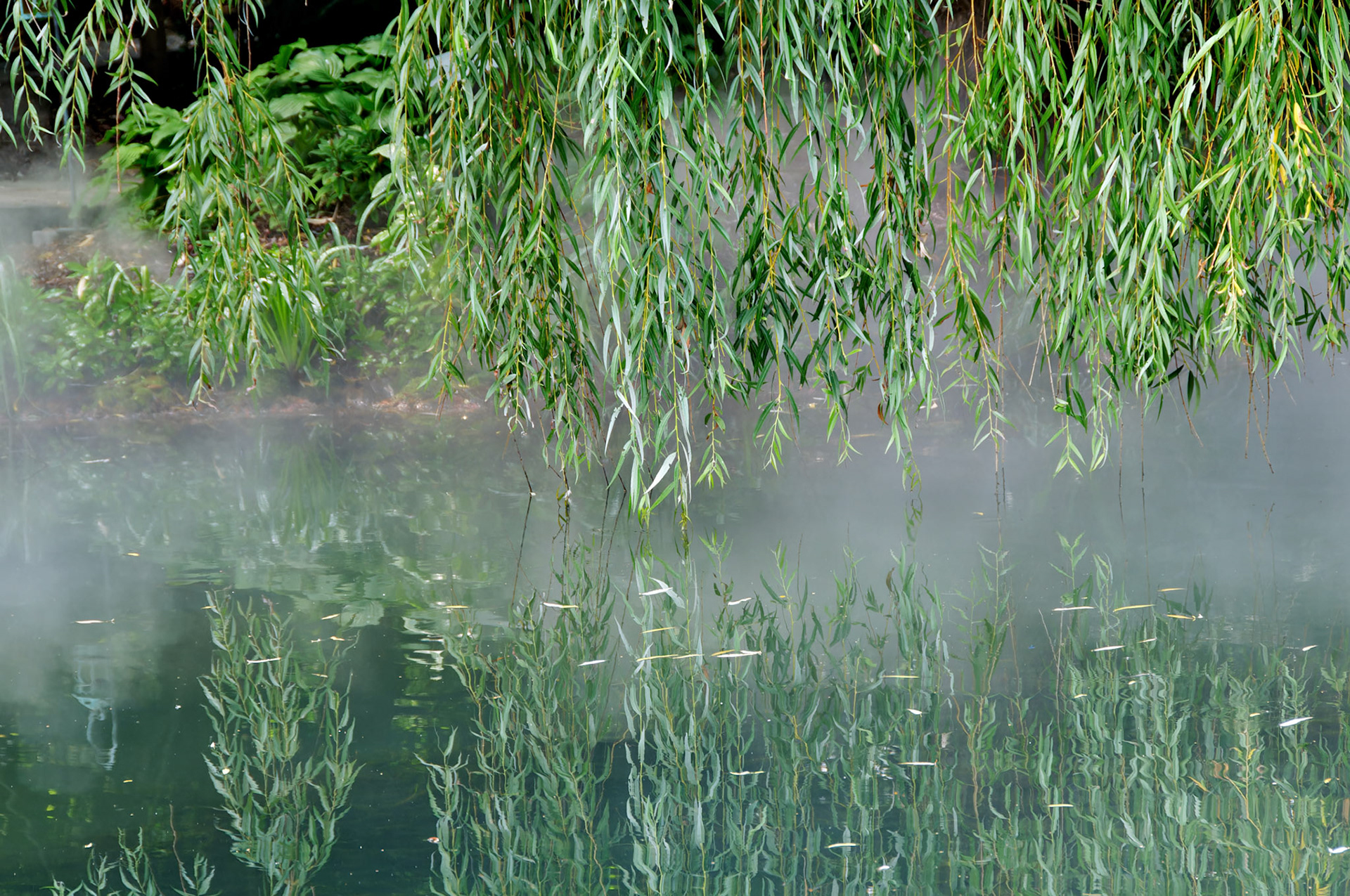 PA_GroundsForSculpture_20080814_0089_PS.dng