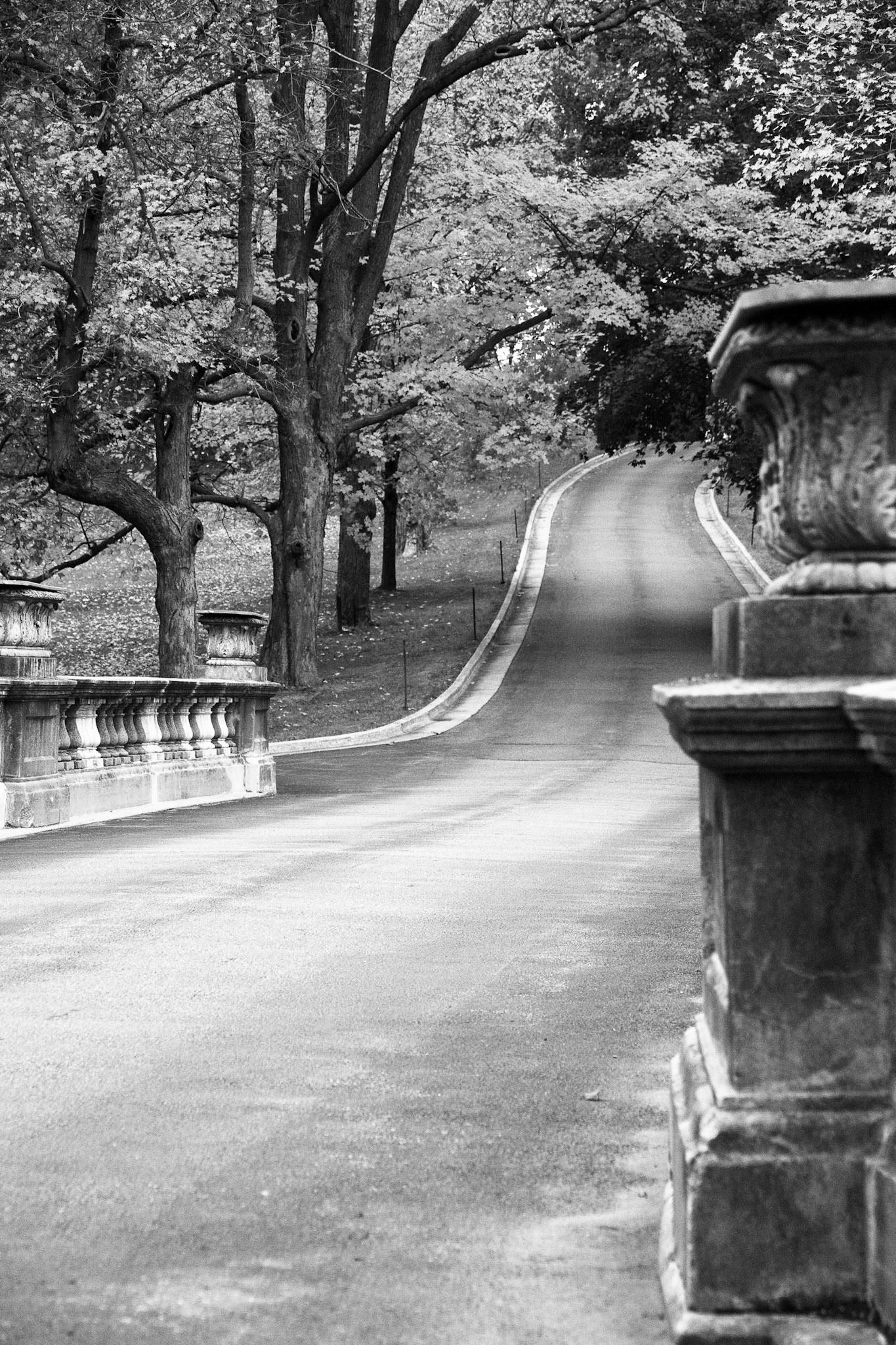 Black &amp; White 00136