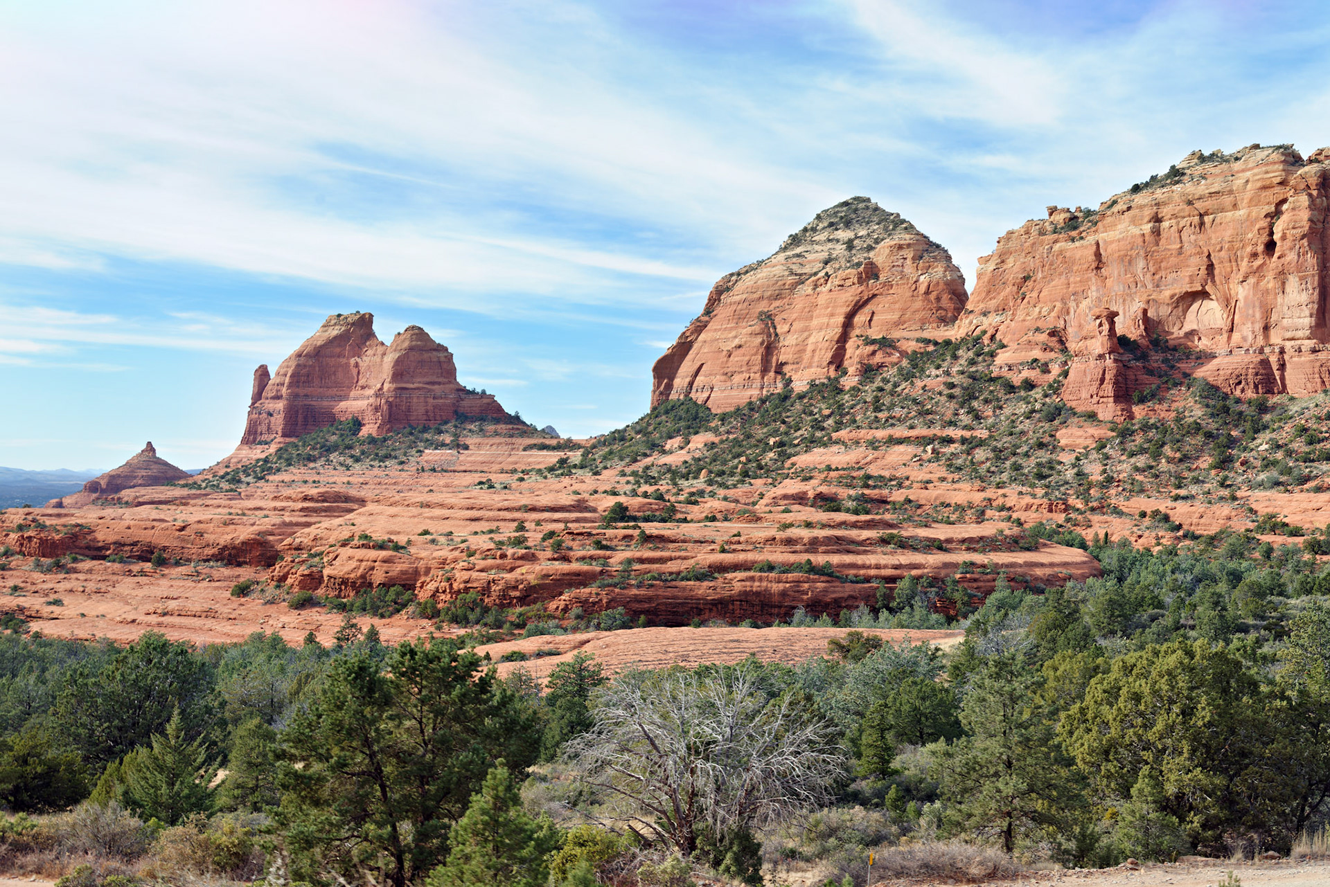 AZ_20121211_0509_PS.dng