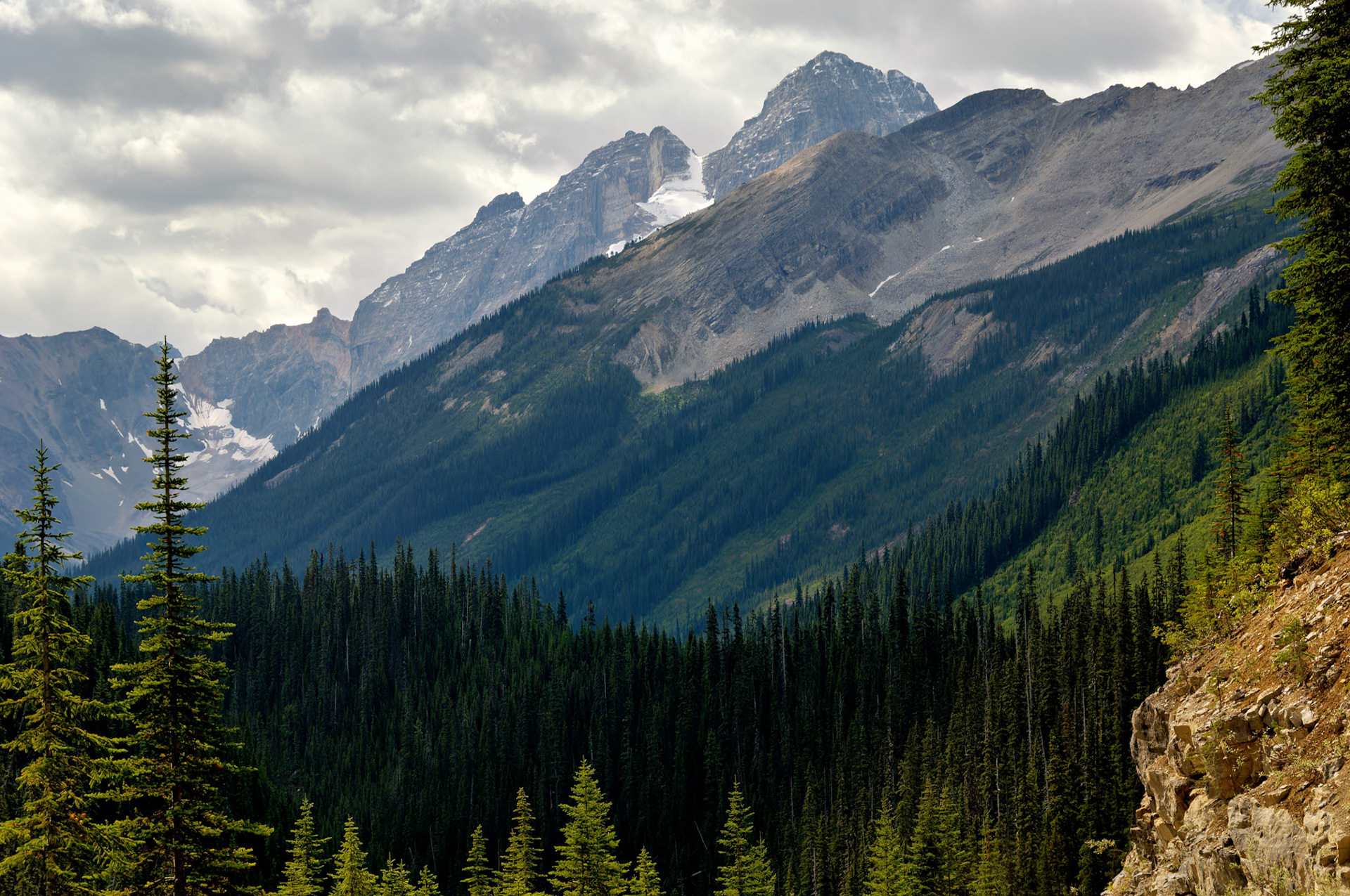 CN_20060803_0324_PS.dng